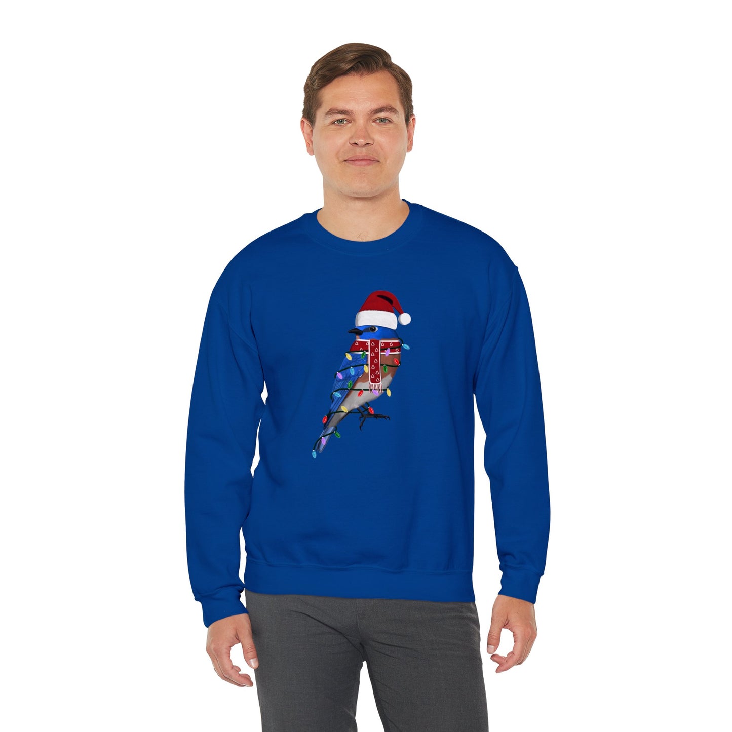 Bluebird with Fairy Lights Santa Claus Christmas Bird Sweatshirt