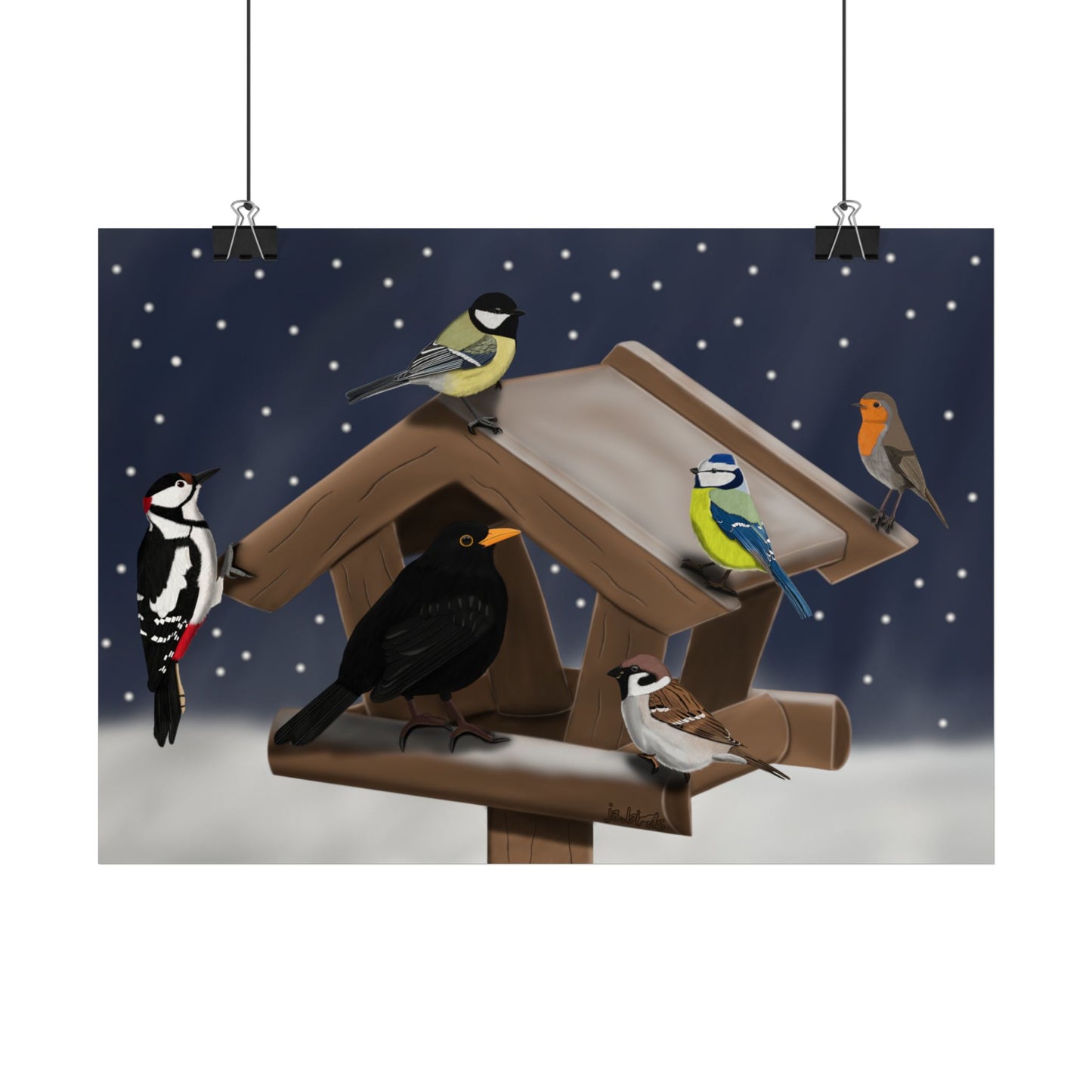Amsel Blaumeise Rotkehlchen Kohlmeise Spatz Specht am Vogelfutterhaus im Schnee Vogel Poster