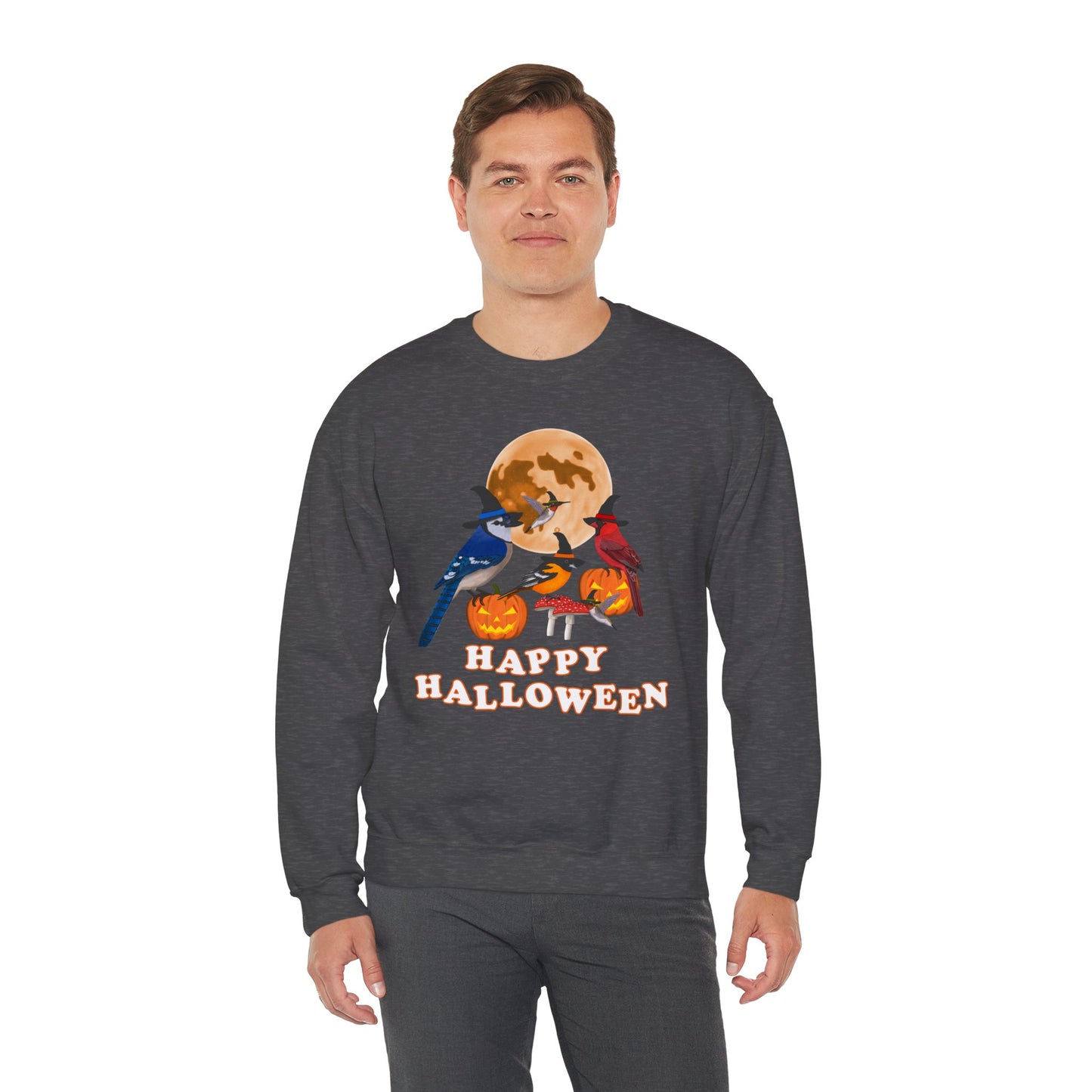 Blue Jay Cardinal Oriole Hummingbird Halloween Birds Witch Birdwatcher Sweatshirt