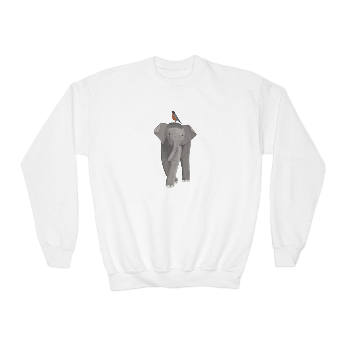 American Robin Youth Sweatshirts – Casual Kids Clothing, Cool Weather Outfit