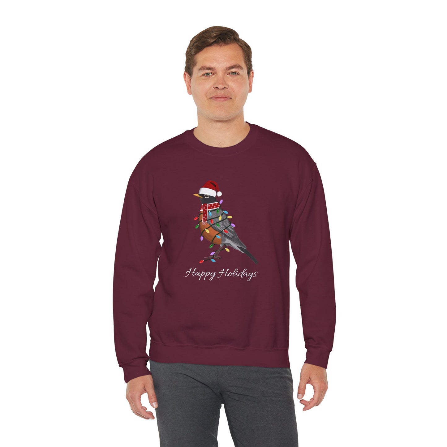 Robin with Fairy Lights as Santa Happy Holidays Birdwatcher Christmas Bird Sweatshirt