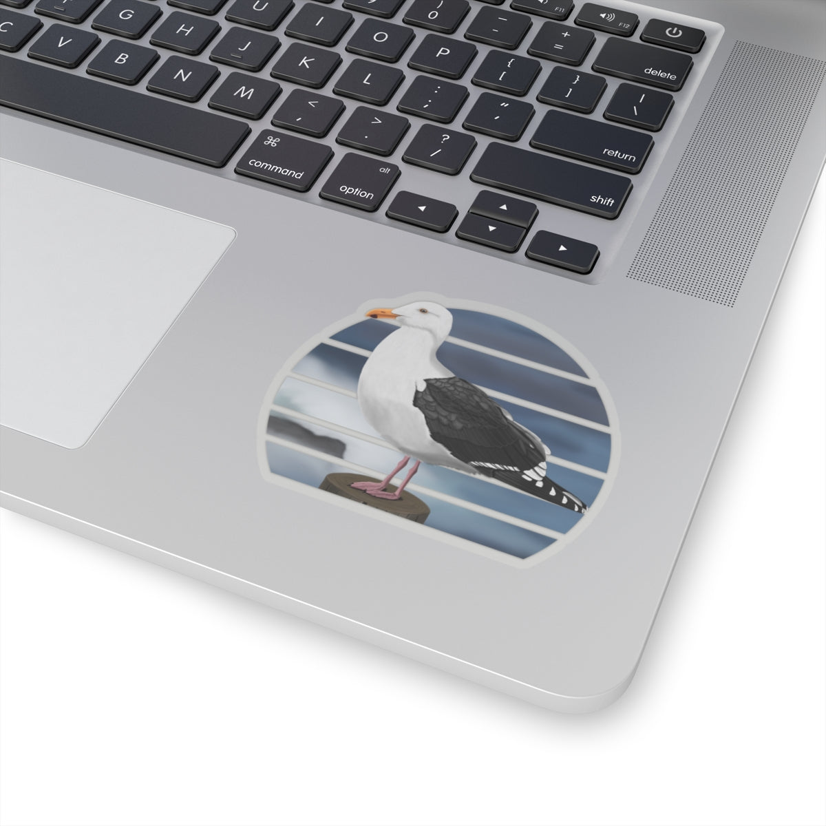 Seagull Bird Sticker