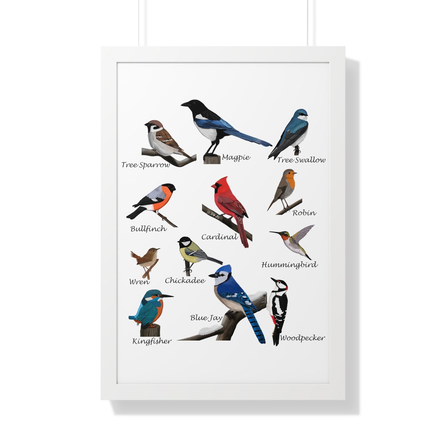 Garden Birds Blue Jay Cardinal Bullfinch Chickadee Framed Poster