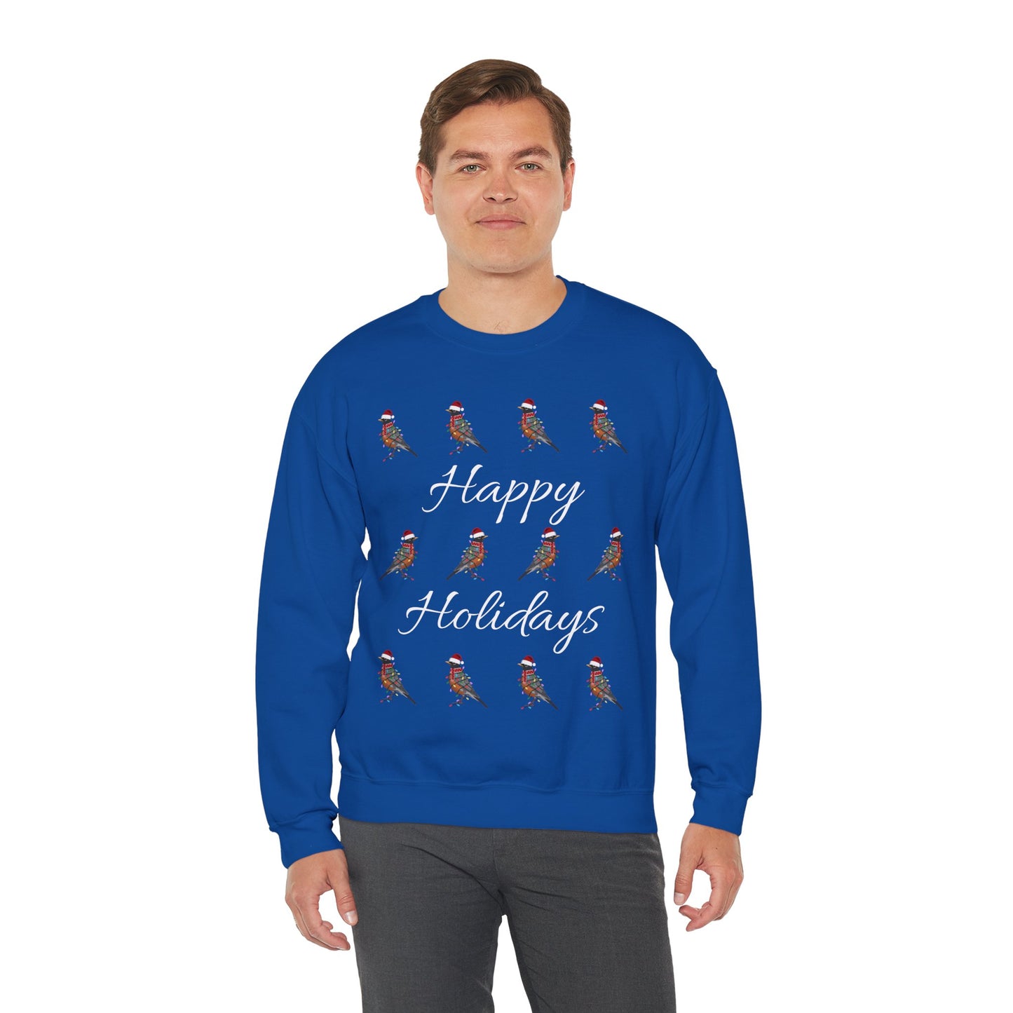 American Robin as Santa with Hat Scarf and Fairy Lights Happy Holidays Birdwatcher Christmas Bird Sweatshirt