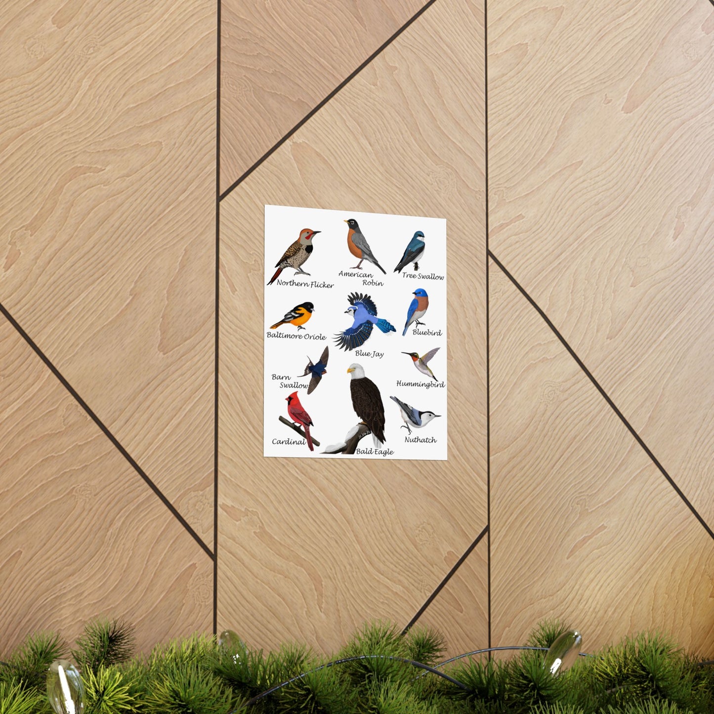 American Birds Poster Robin Blue Jay Cardinal Hummingbird Bird Watcher & Bird Lover