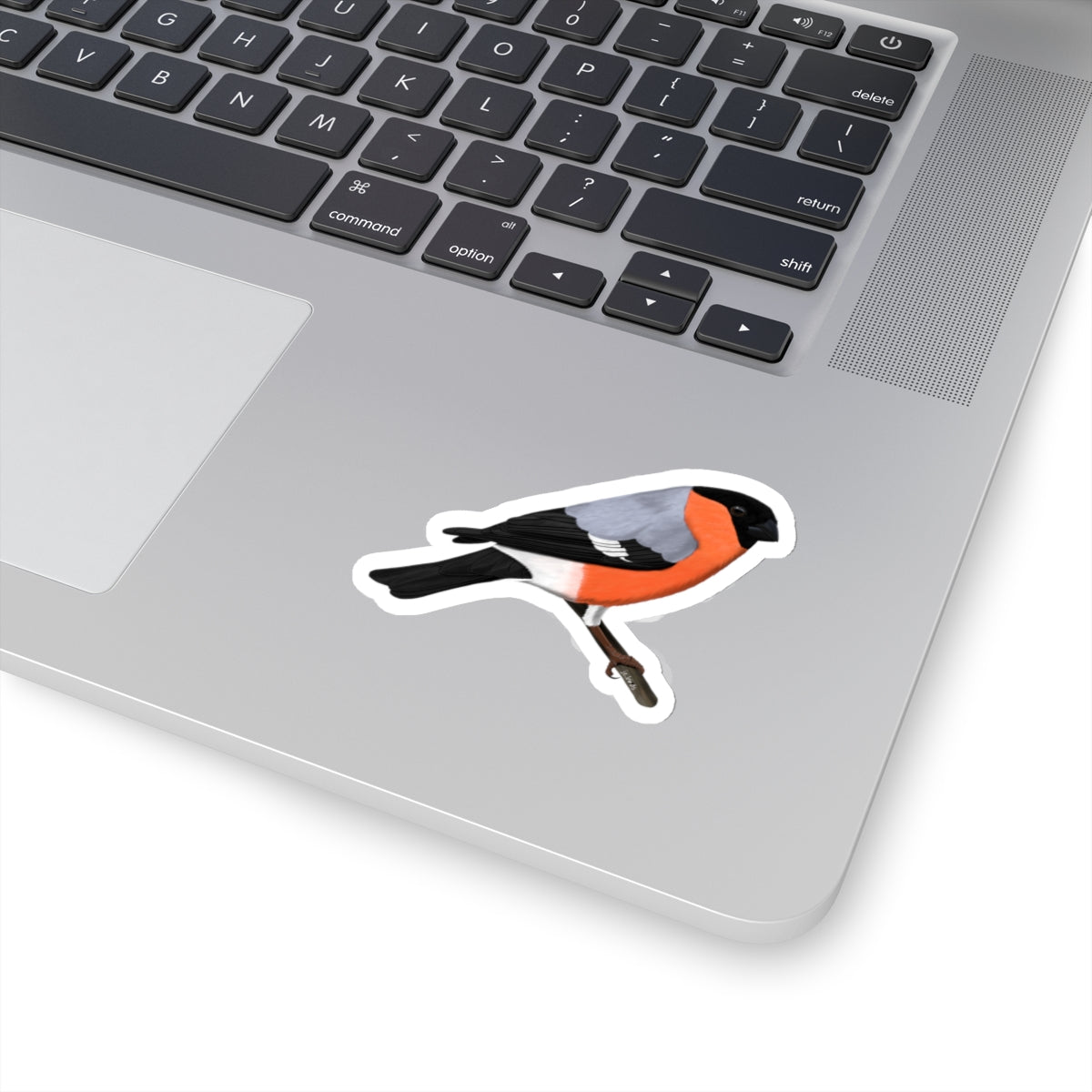 Bullfinch Bird Kiss-Cut Sticker - jz.birds
