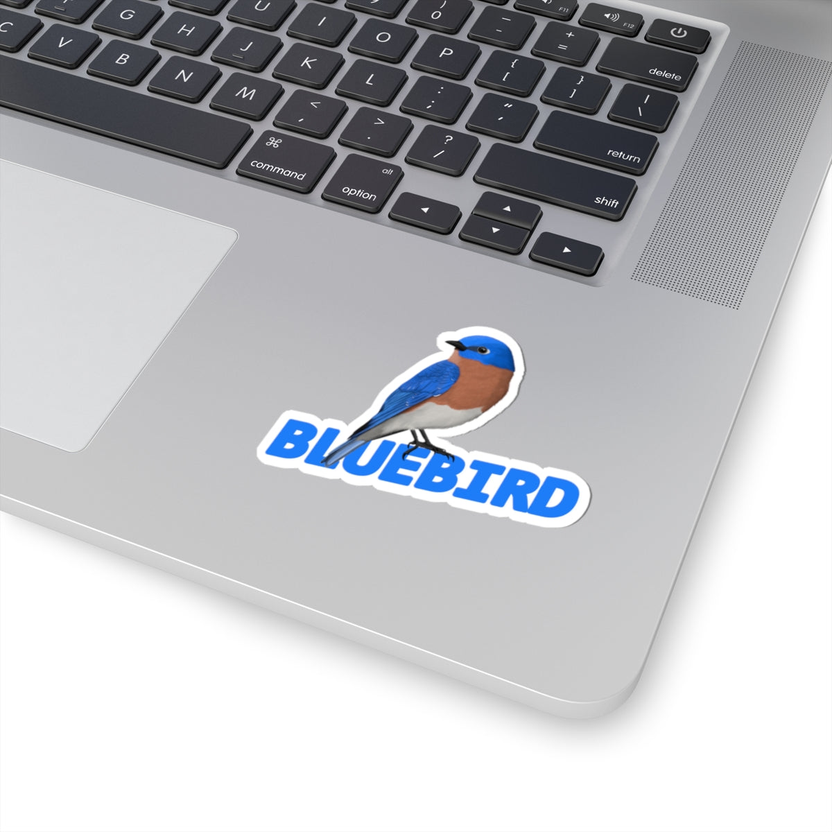 Bluebird Sticker Bird Lover & Bird Watcher