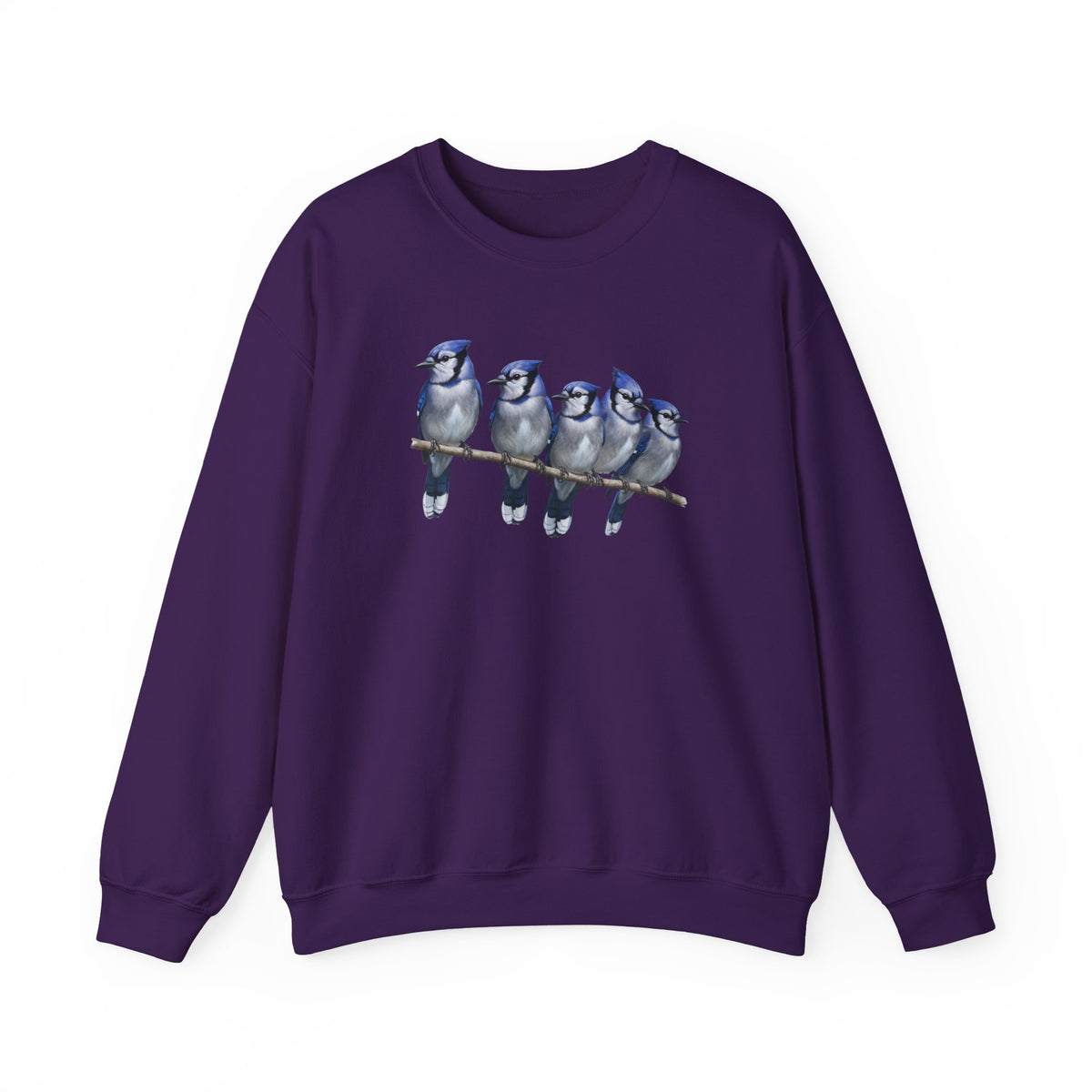 Blue Jay Bird Sweatshirt in Black