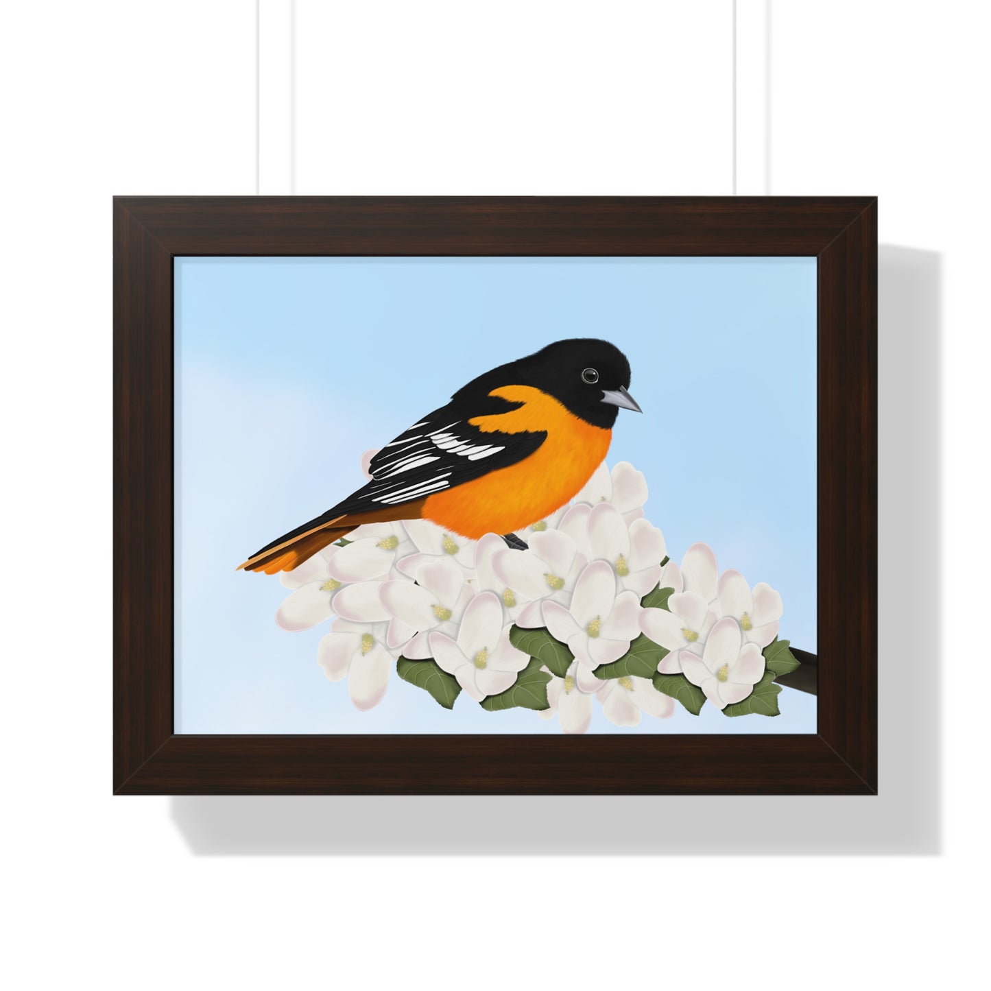 Baltimore Oriole Framed Poster – Home & Living