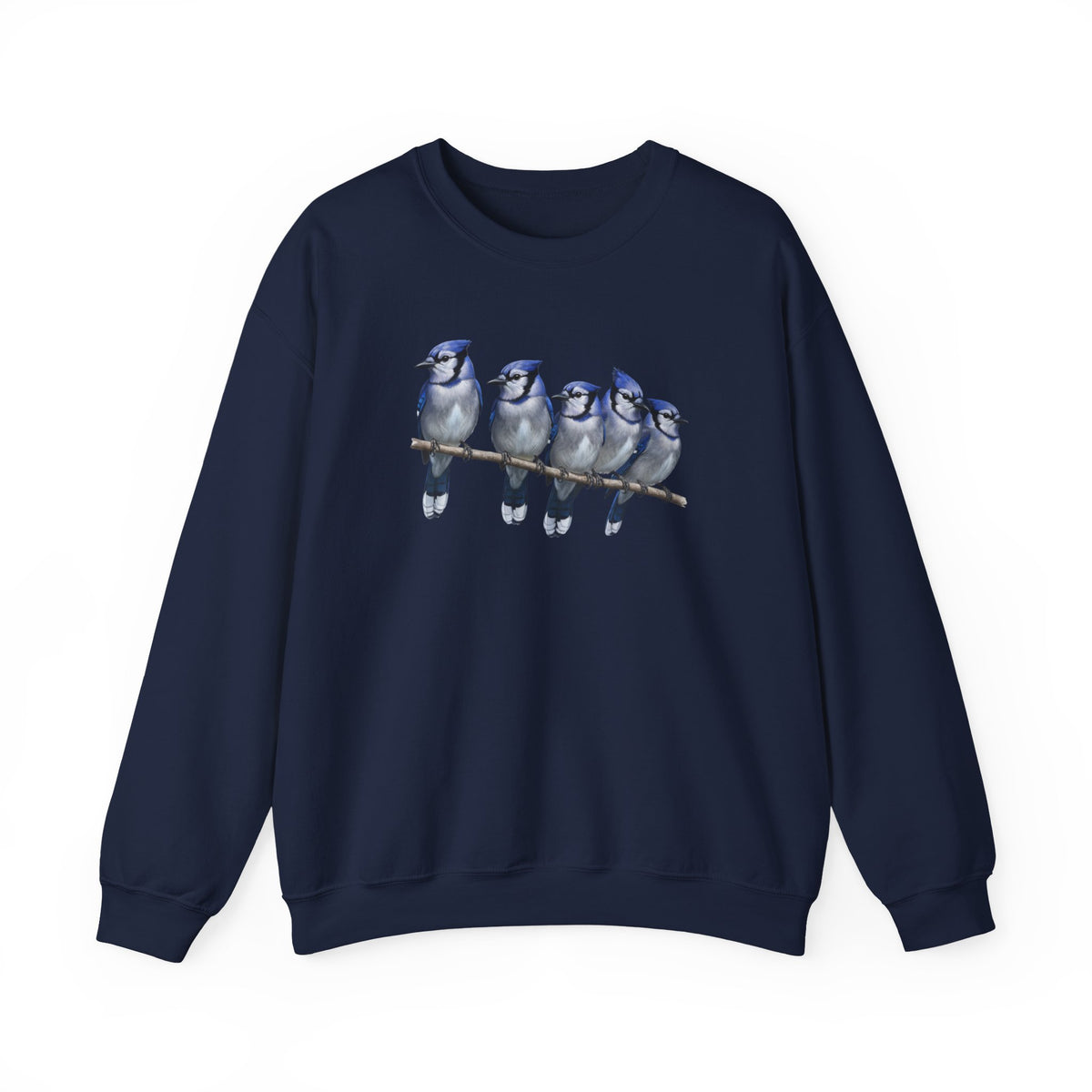 Blue Jay Bird Sweatshirt – Animal Lover Gift, Avian Enthusiast