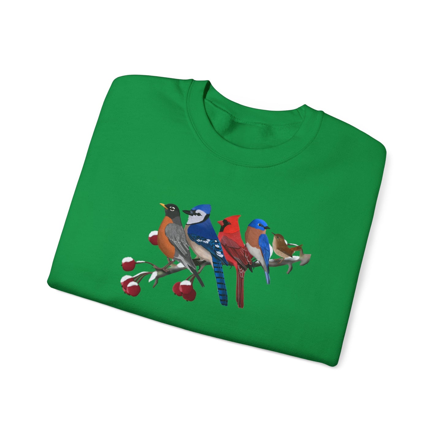 Backyard Birds Robin Blue Jay Cardinal Bluebird Wren Birdwatcher Christmas Bird Sweatshirt
