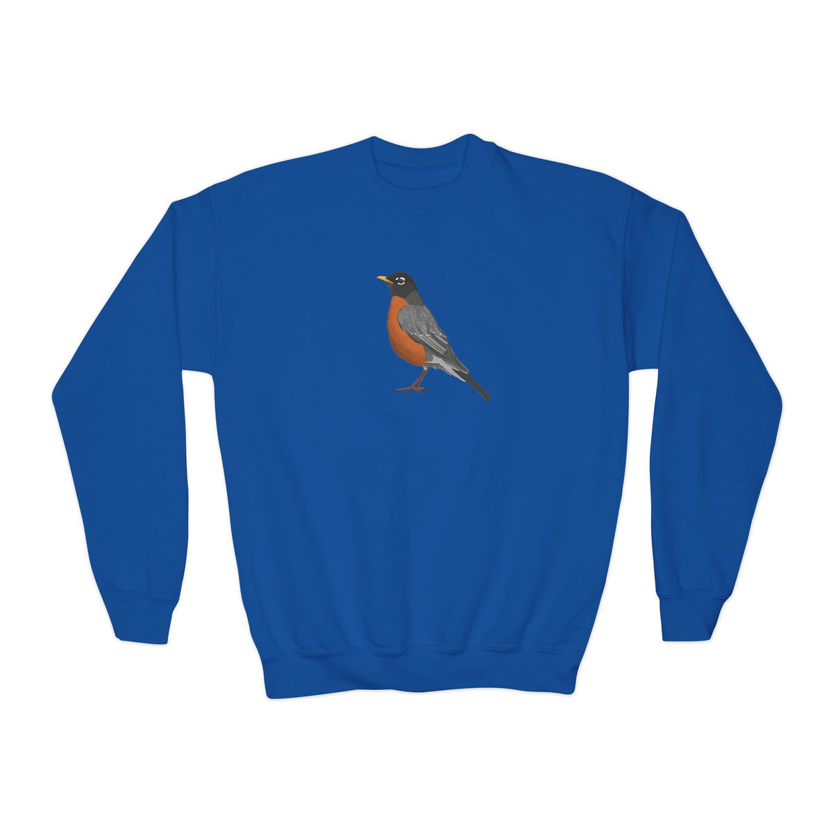 American Robin Youth Sweatshirts – Casual Kids Clothing, Cool Weather Outfit