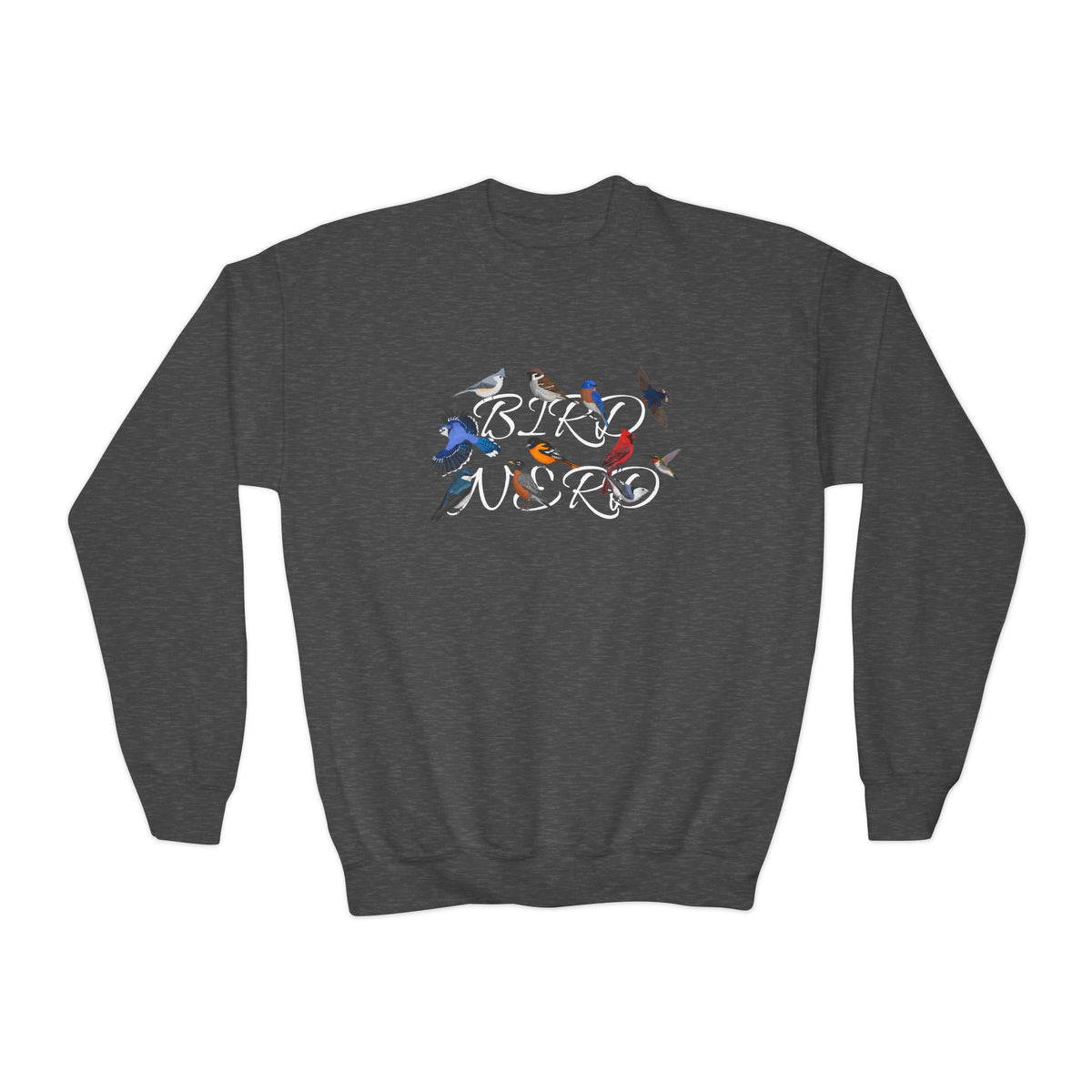 Barn Swallow, Blue Jay, Nuthatch, Oriole and Robin Youth Sweatshirts on Casual Kids Clothing background
