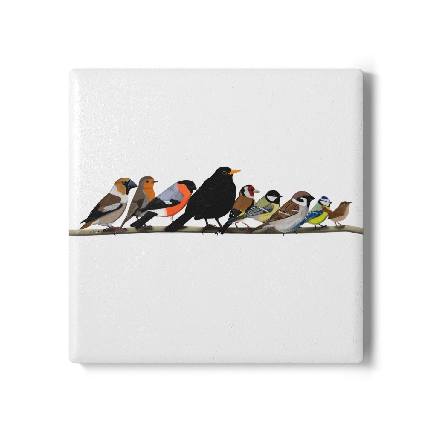 Vögel auf einem Ast Keramik-Untersetzer Vogelmotiv Weiß Amsel Rotkehlchen Blaumeise Zaunkönig