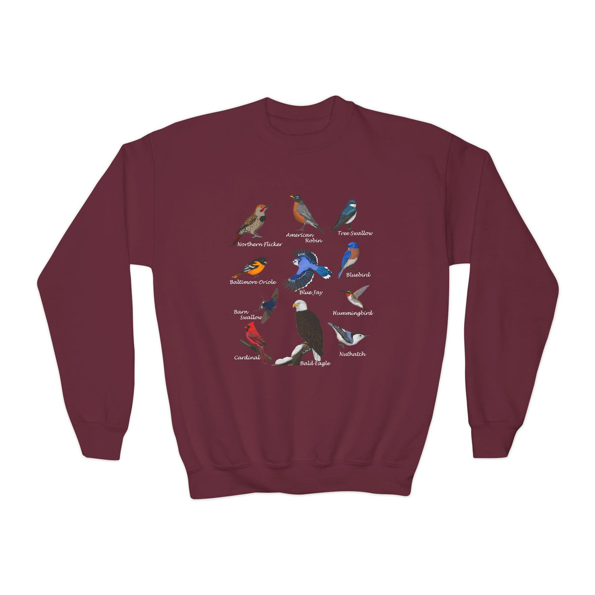 Hummingbird, Bluebird, Blue Jay, Cardinal, Robin and Eagle Youth Sweatshirts – Casual Kids Clothing Cool Weather Outfit style