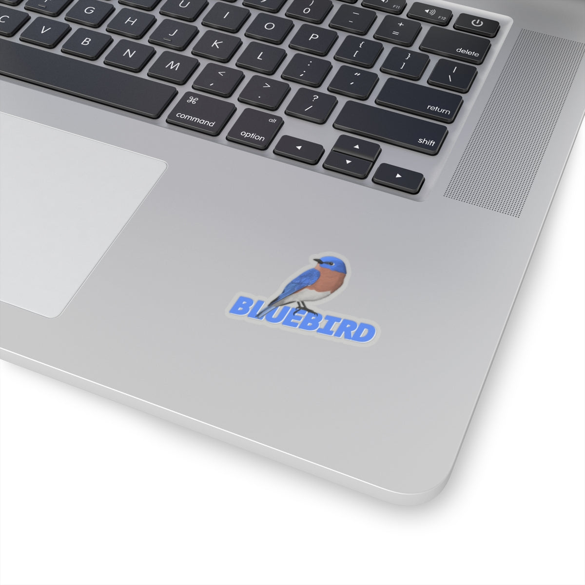 Bluebird Sticker Bird Lover & Bird Watcher