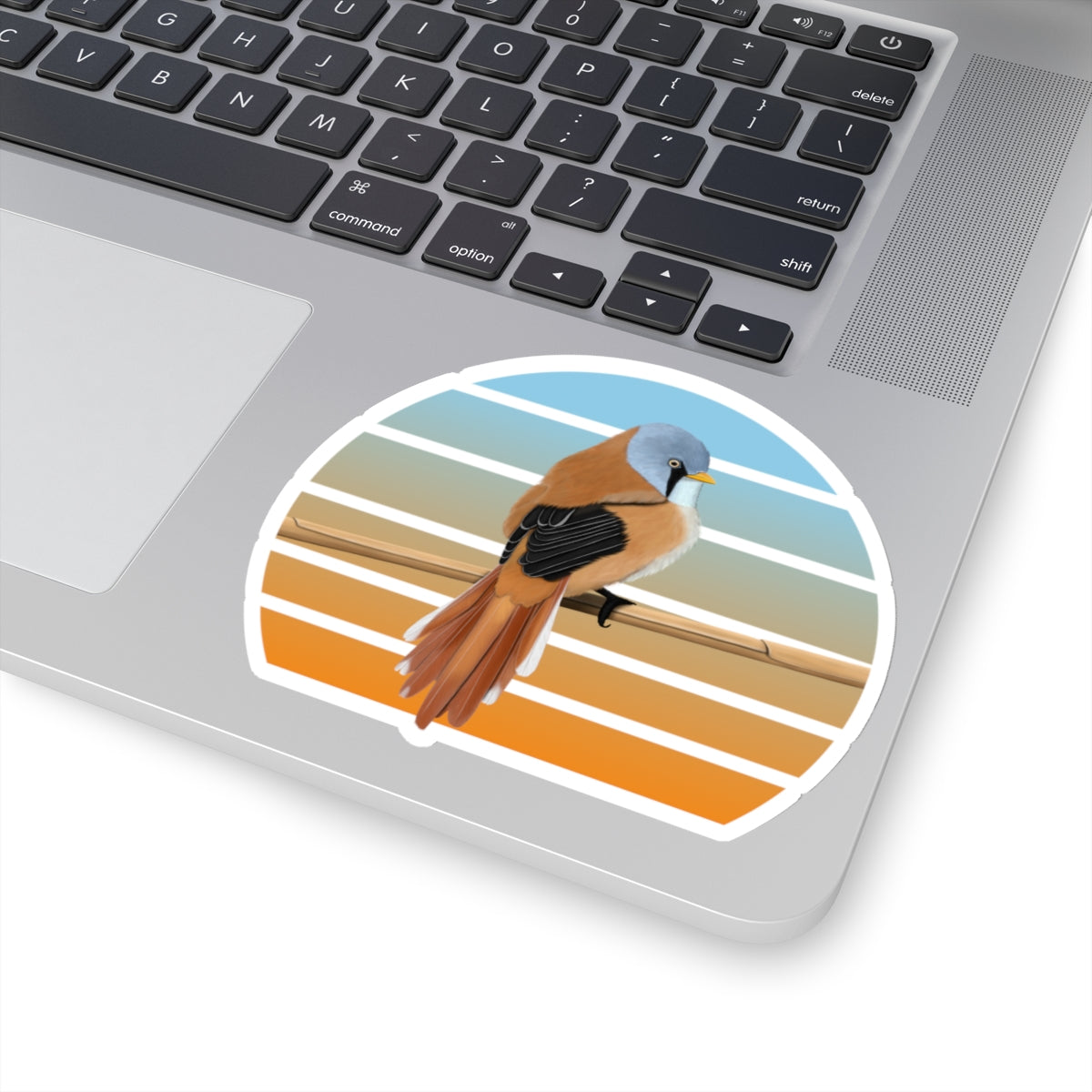 Bearded Reedling Bird Sticker