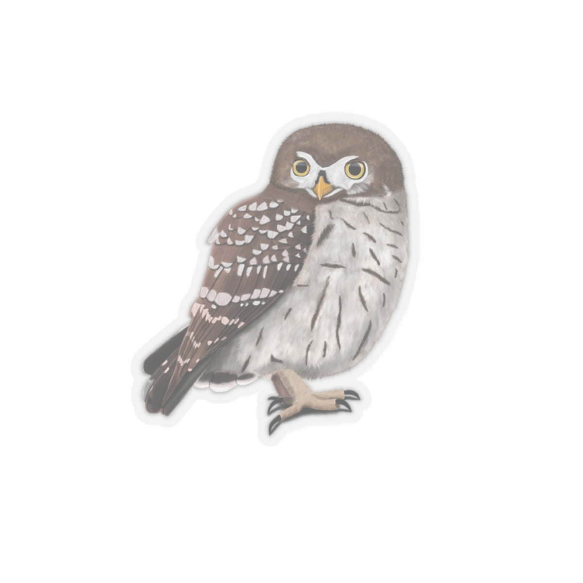 Owl Bird Kiss-Cut Sticker - jz.birds