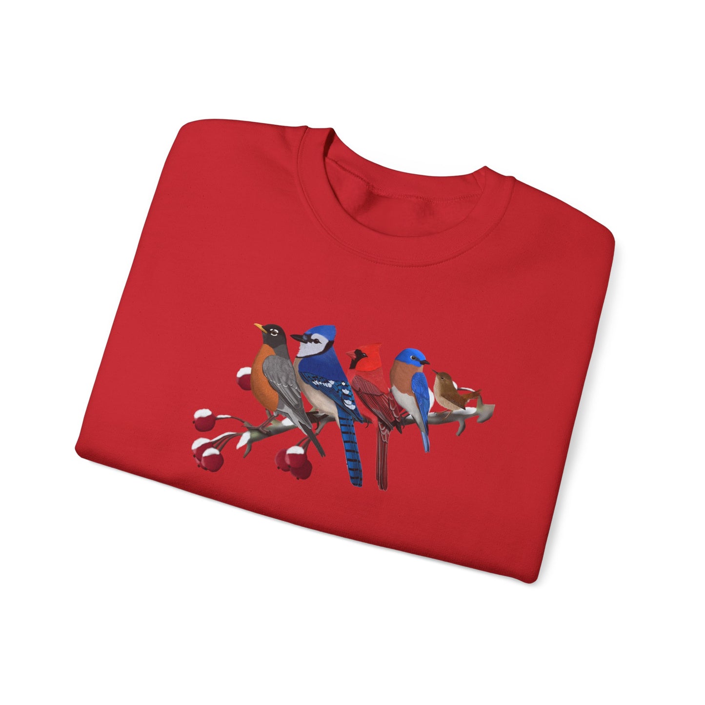Backyard Birds Robin Blue Jay Cardinal Bluebird Wren Birdwatcher Christmas Bird Sweatshirt