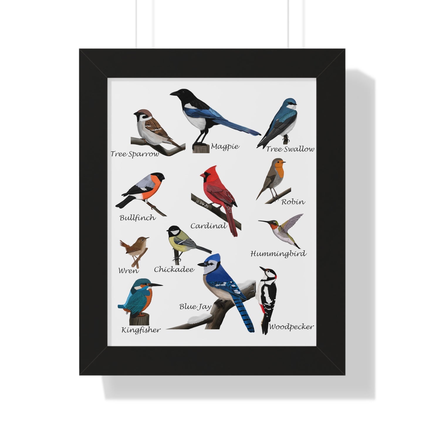 Garden Birds Blue Jay Cardinal Bullfinch Chickadee Framed Poster