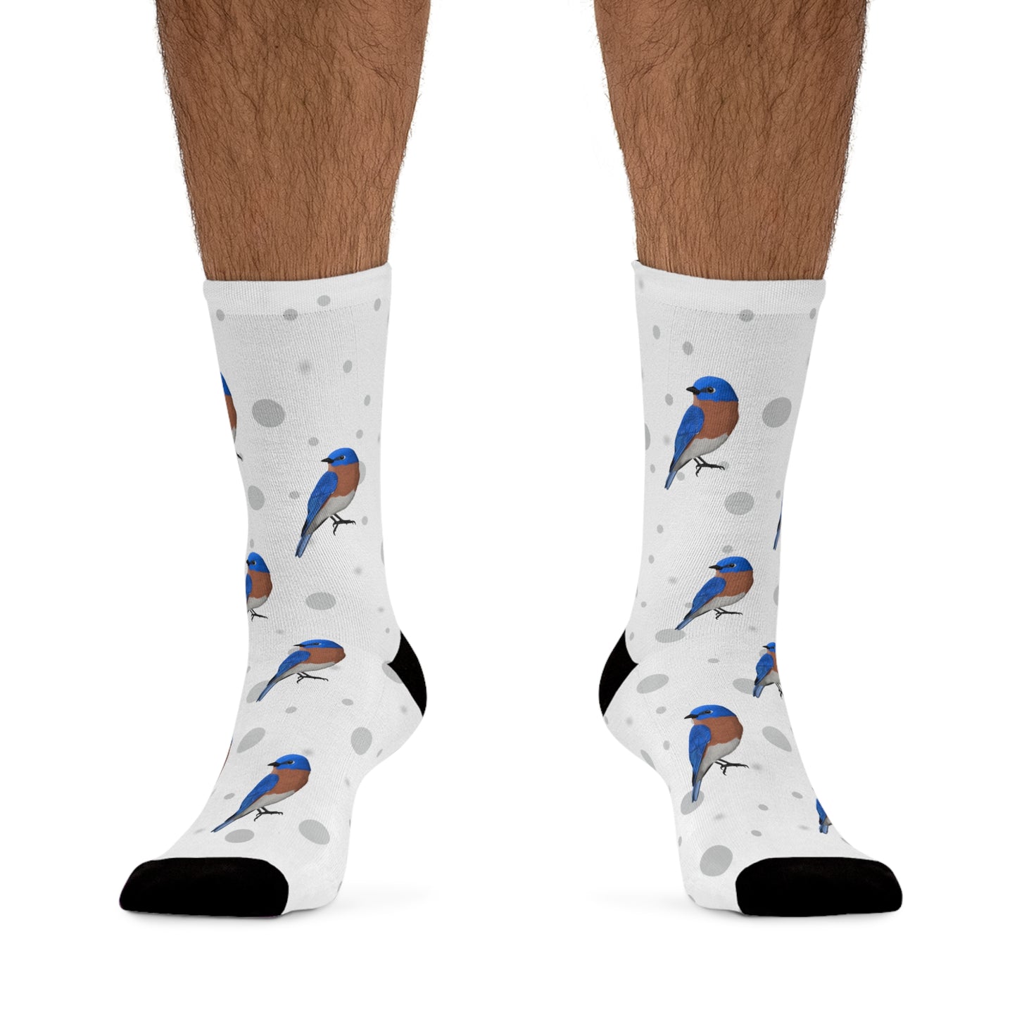 Bluebird Socks White Bird Socks for Bird Lovers One Size