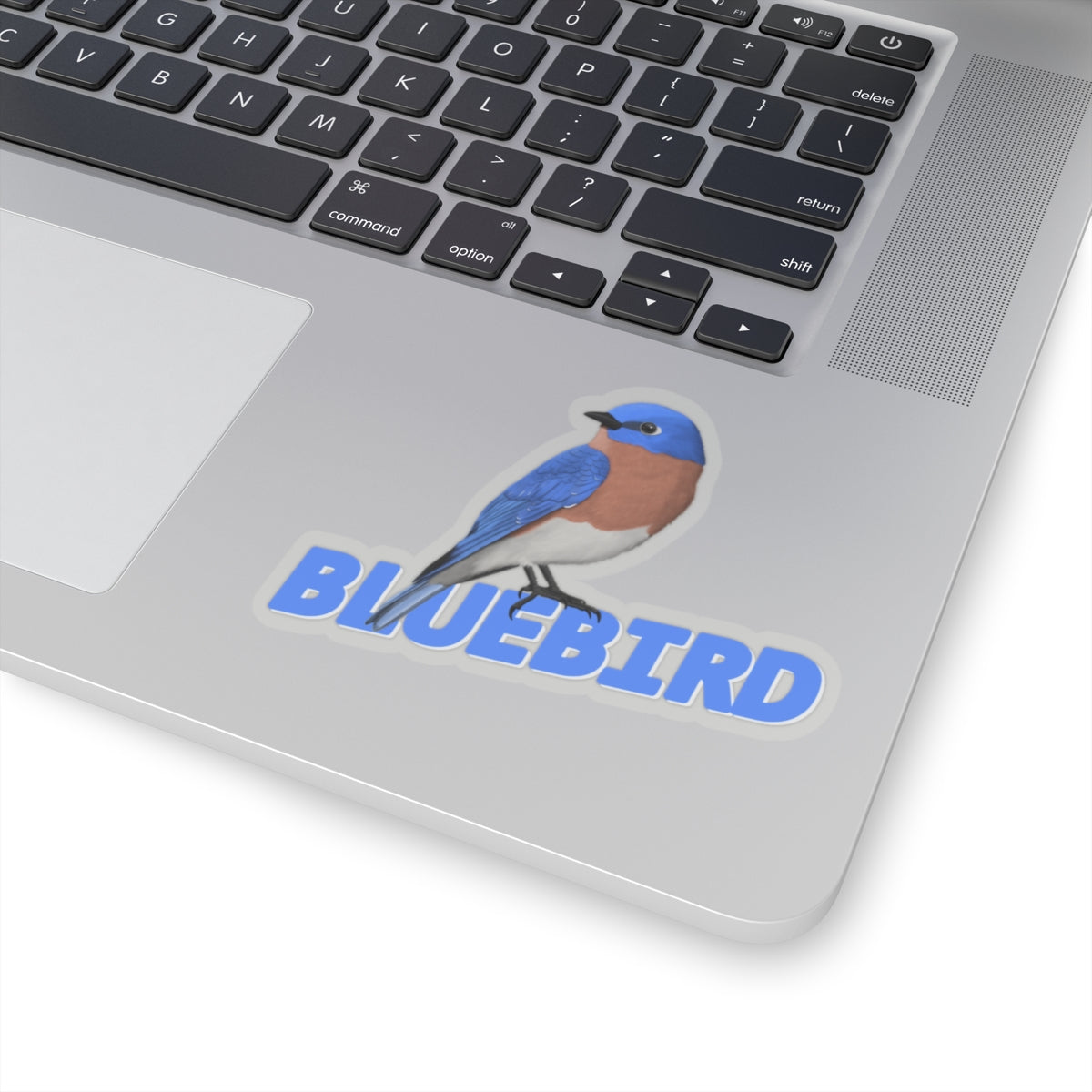 Bluebird Sticker Bird Lover & Bird Watcher