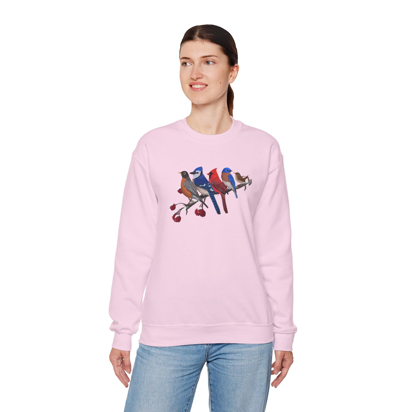 Backyard Birds Robin Blue Jay Cardinal Bluebird Wren Birdwatcher Christmas Bird Sweatshirt