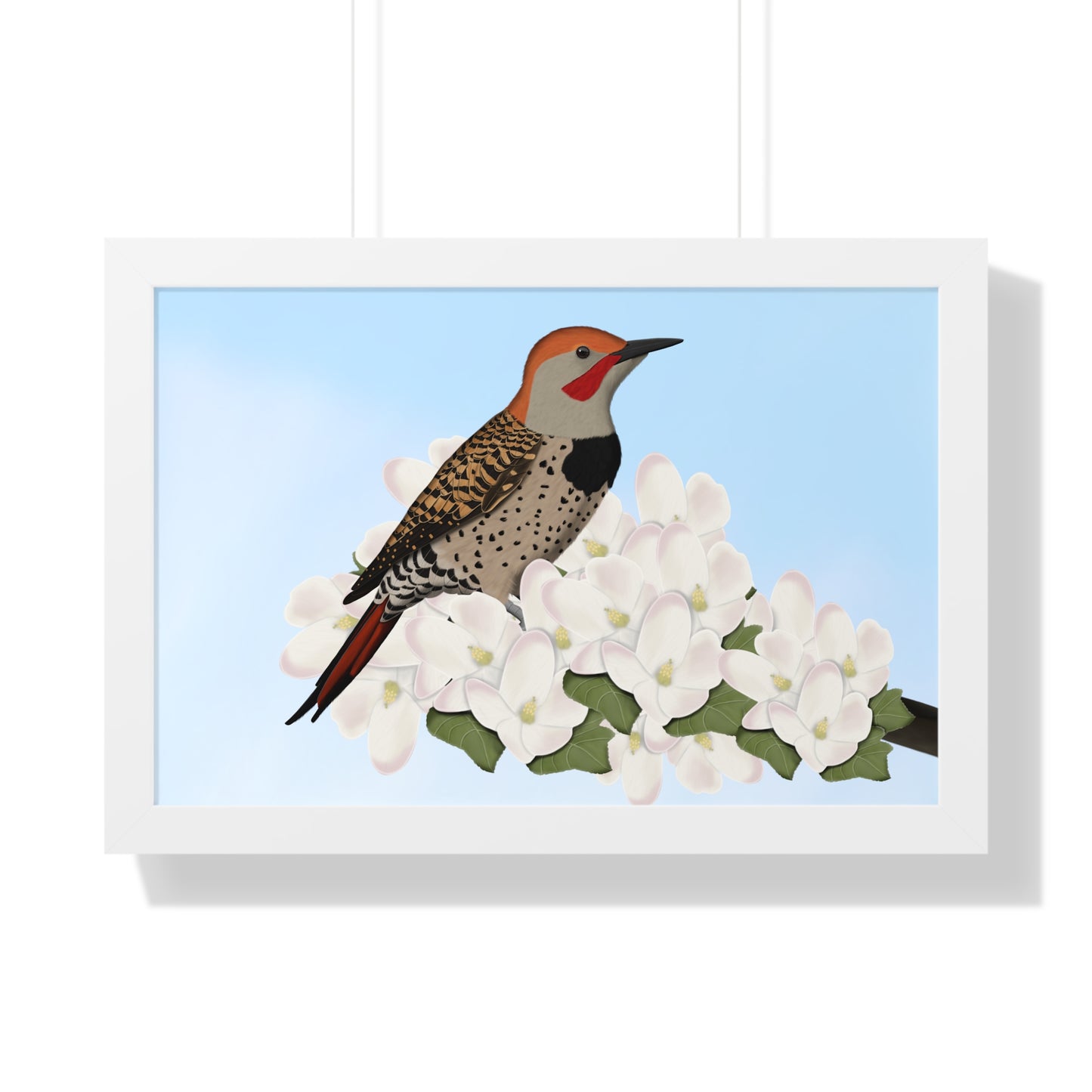 Northern Flicker Spring Blossoms Bird Framed Poster