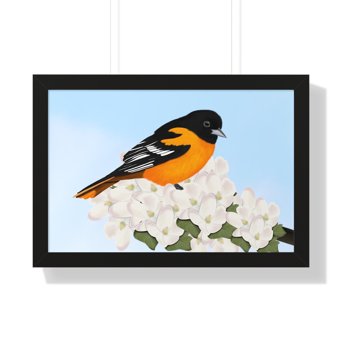Baltimore Oriole Spring Blossoms Bird Framed Poster –