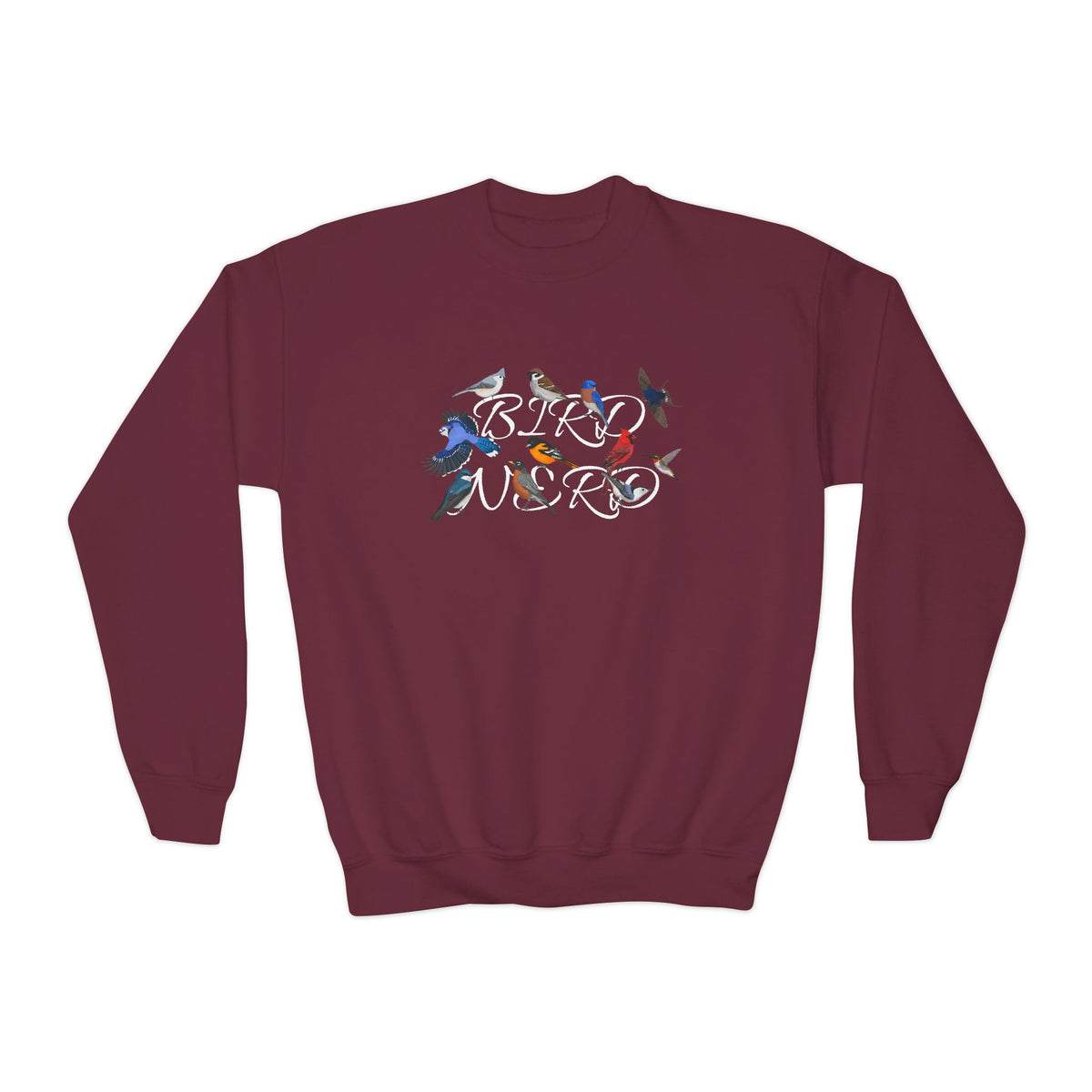 Barn Swallow, Blue Jay, Nuthatch, Oriole and Robin Youth Sweatshirts – Casual Kids Clothing Cool Weather Outfit style