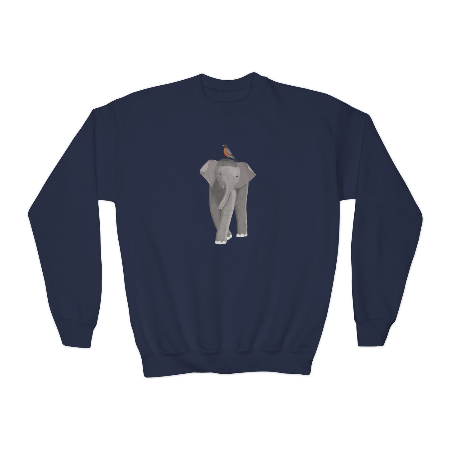 American Robin Youth Sweatshirts in Maroon