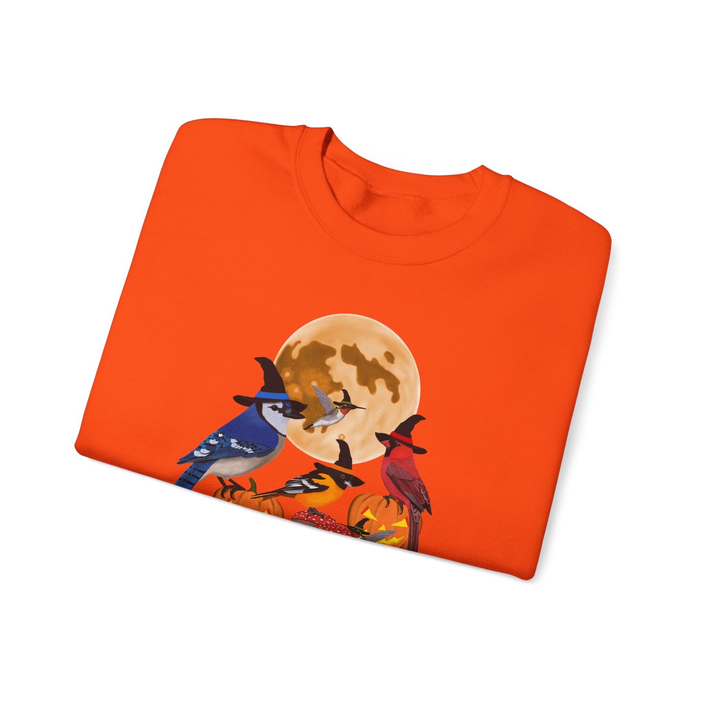 Blue Jay Cardinal Oriole Hummingbird Halloween Birds Witch Birdwatcher Sweatshirt