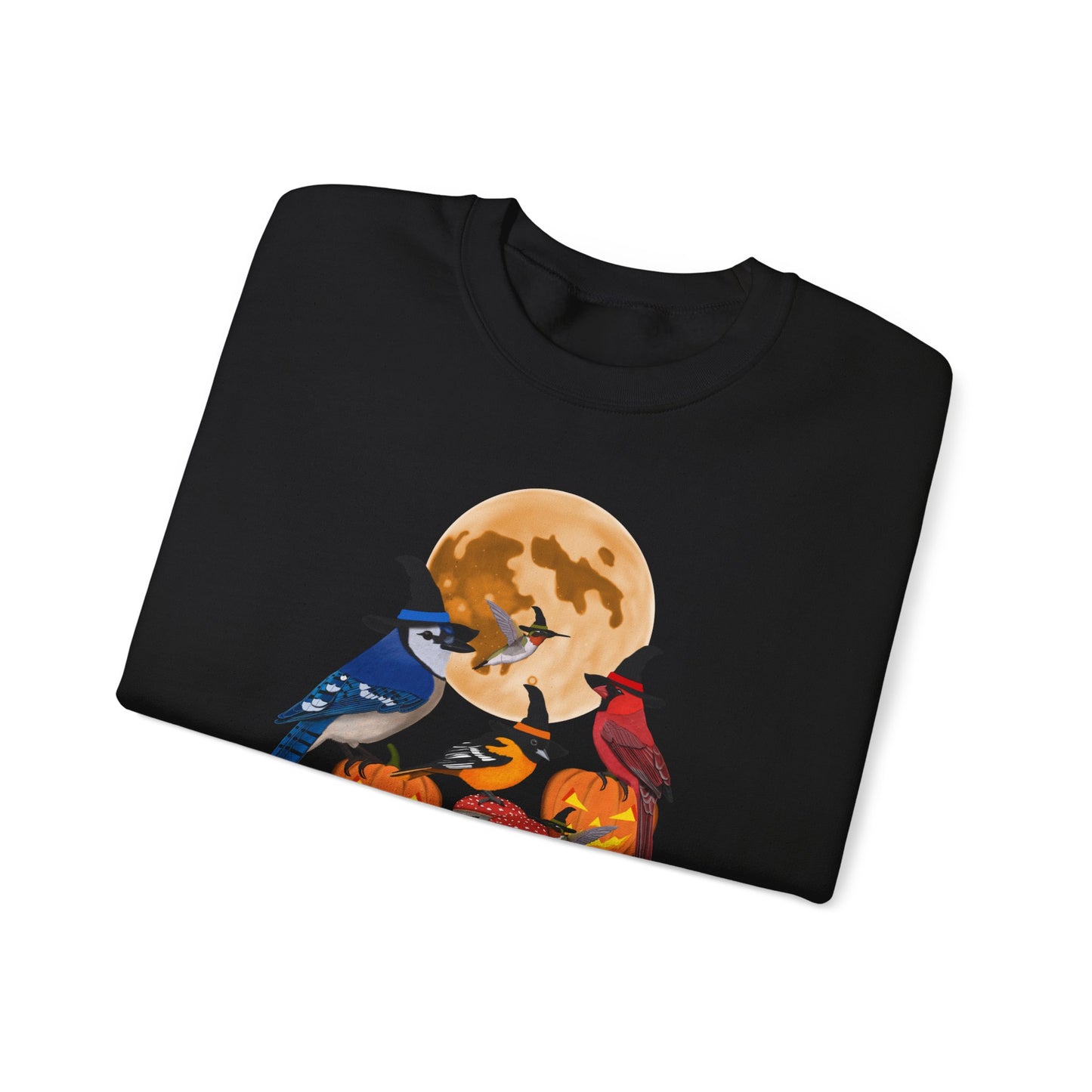 Blue Jay Cardinal Oriole Hummingbird Halloween Birds Witch Birdwatcher Sweatshirt