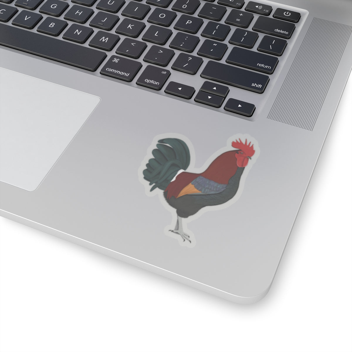 Chicken Bird Kiss-Cut Sticker - jz.birds