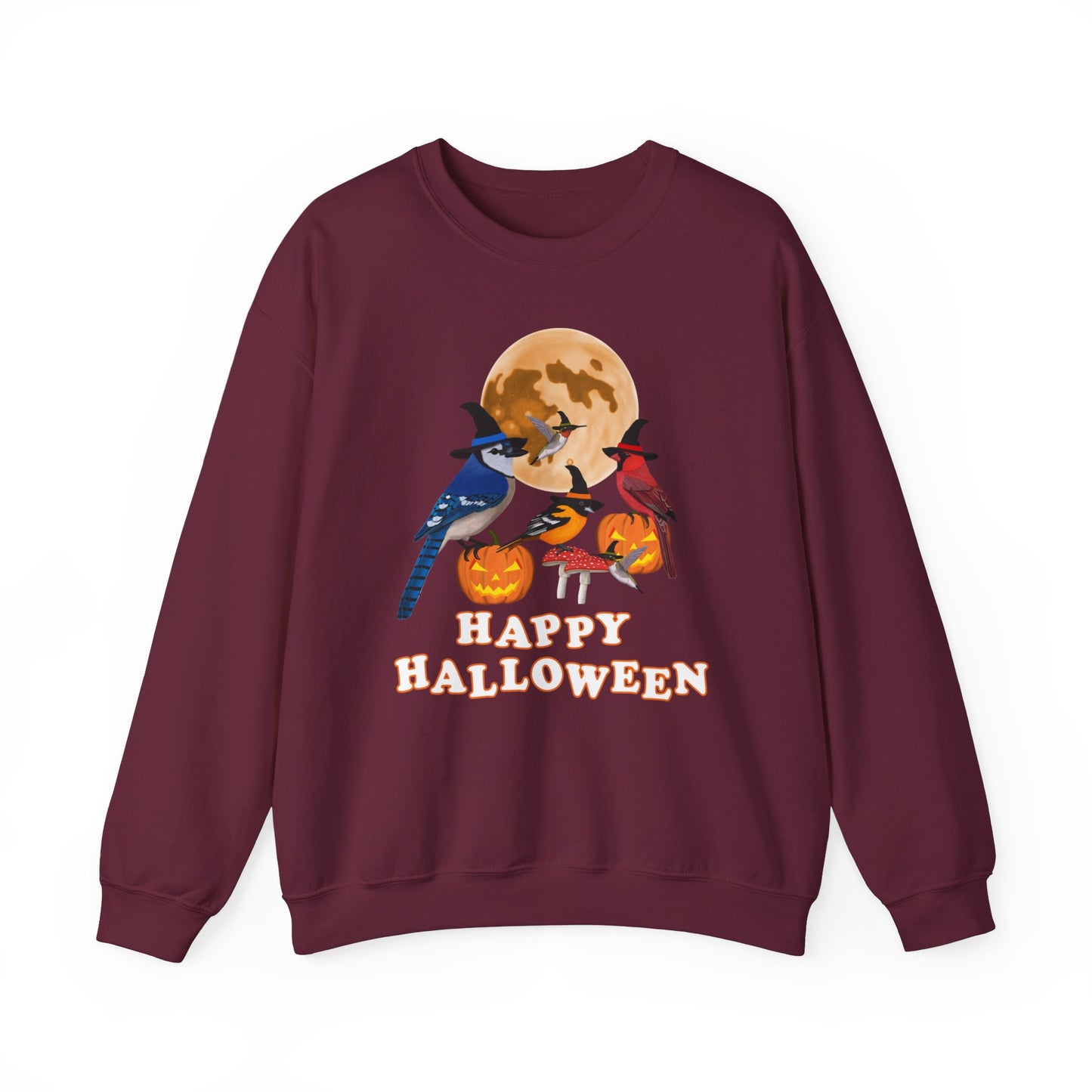 Blue Jay Cardinal Oriole Hummingbird Halloween Birds Witch Birdwatcher Sweatshirt