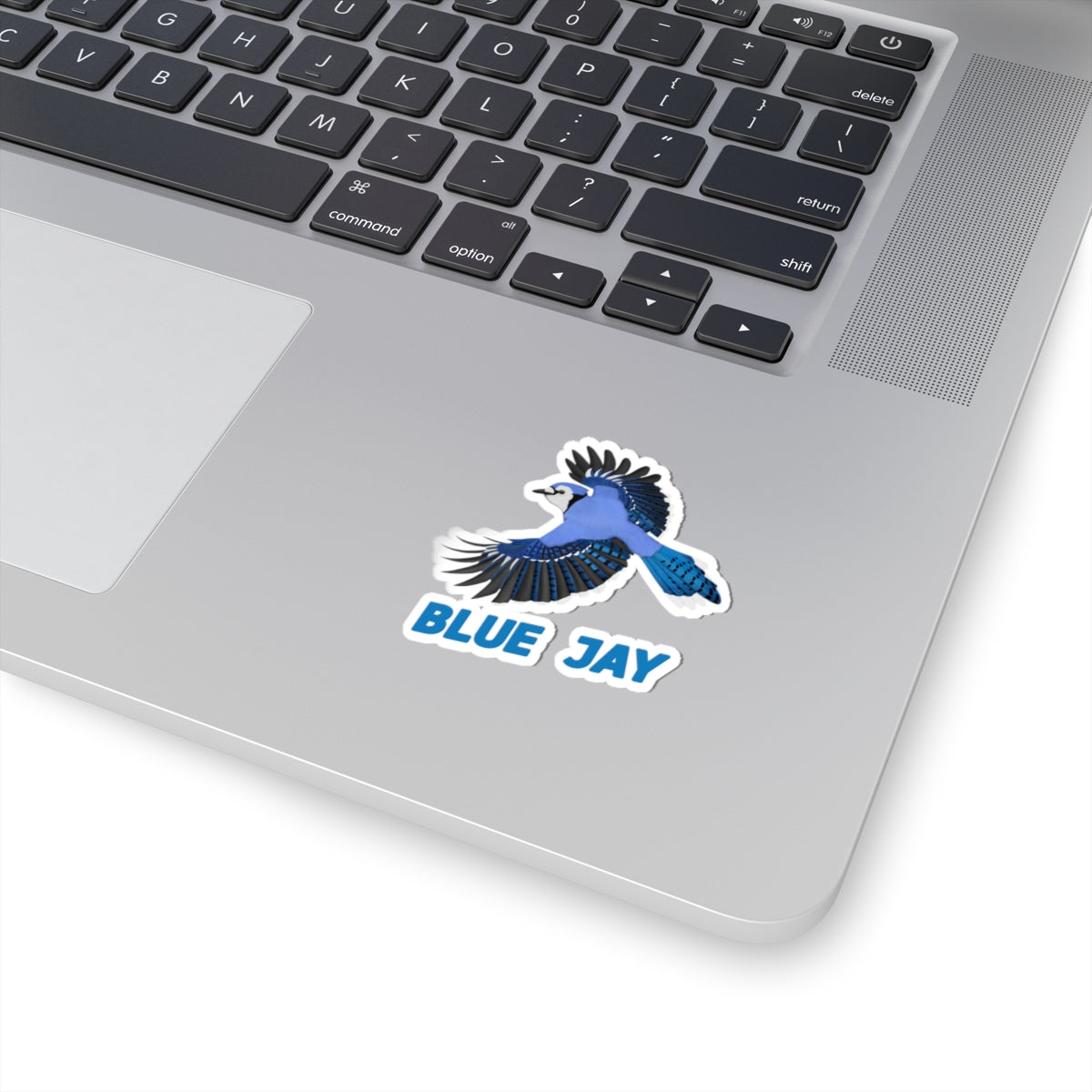 Blue Jay Sticker Bird Lover & Bird Watcher