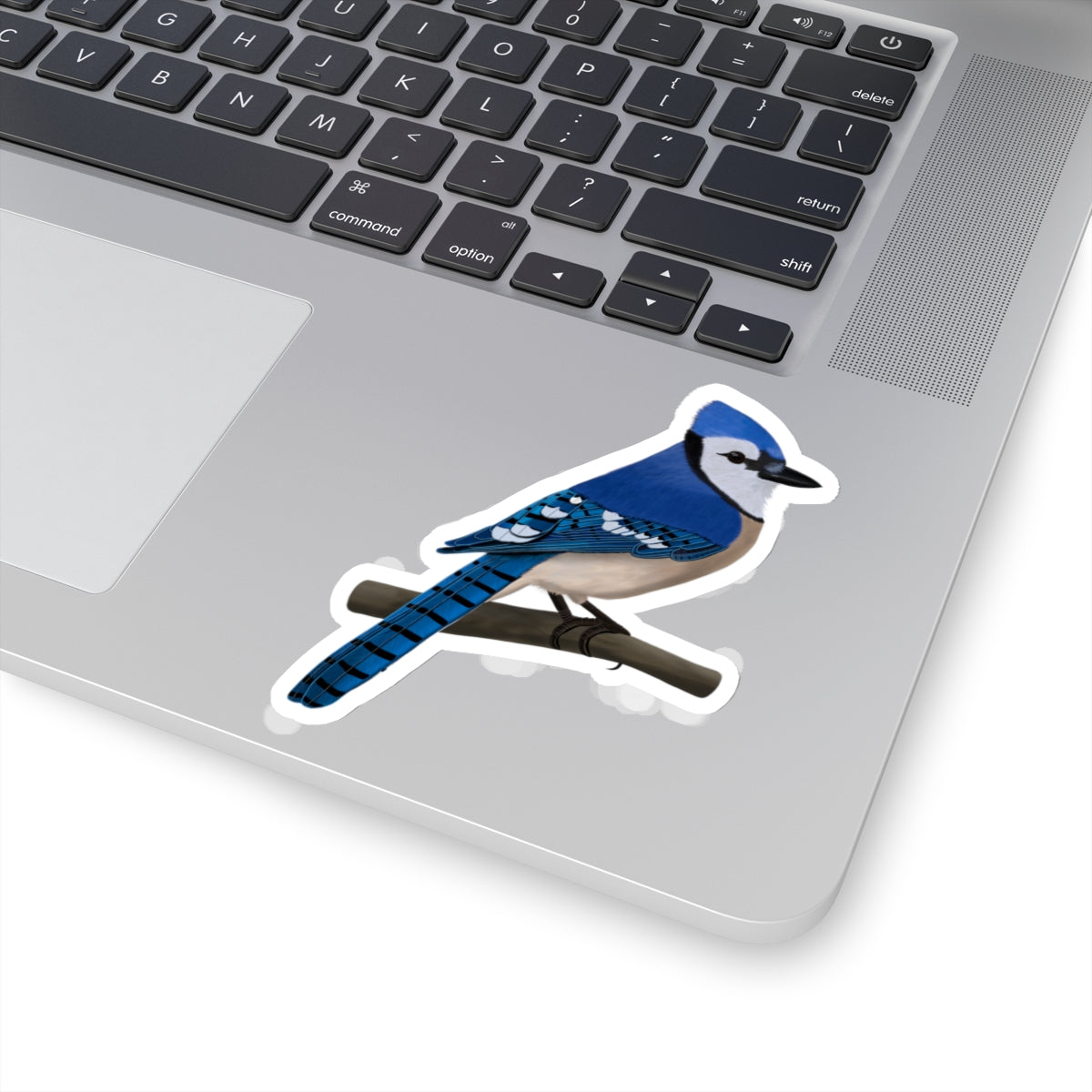 Blue Jay Bird Kiss-Cut Sticker - jz.birds