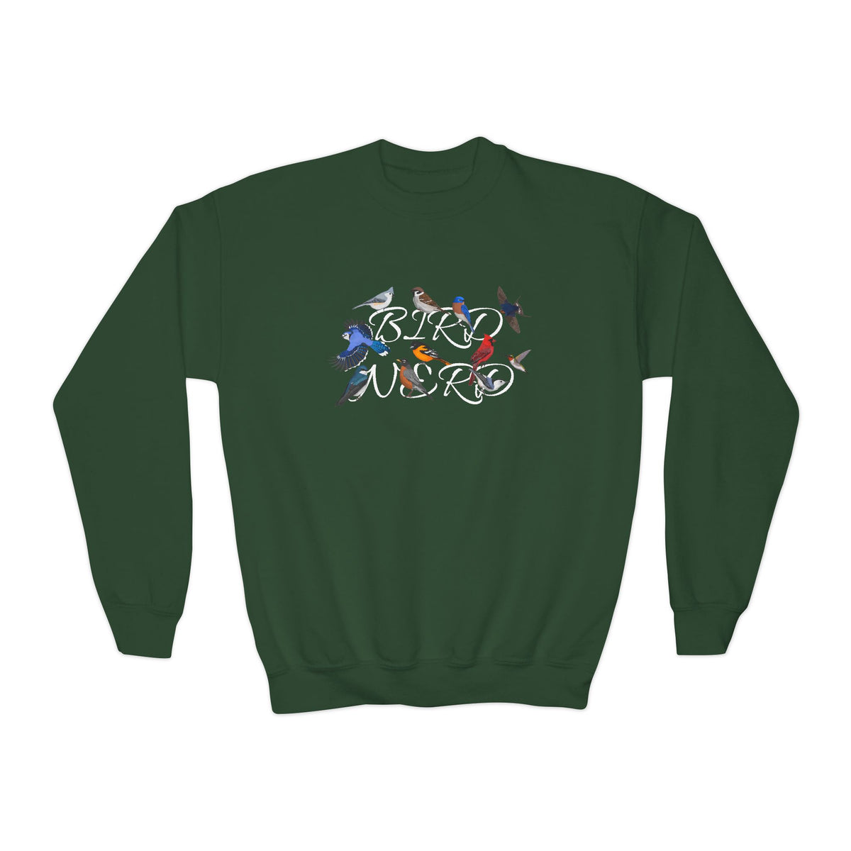 Bird Nerd Blue Jay Oriole Robin Barn Swallow Nuthatch Birdwatching Youth Crewneck Sweatshirt – Casual Kids Clothing, Sweatshirts