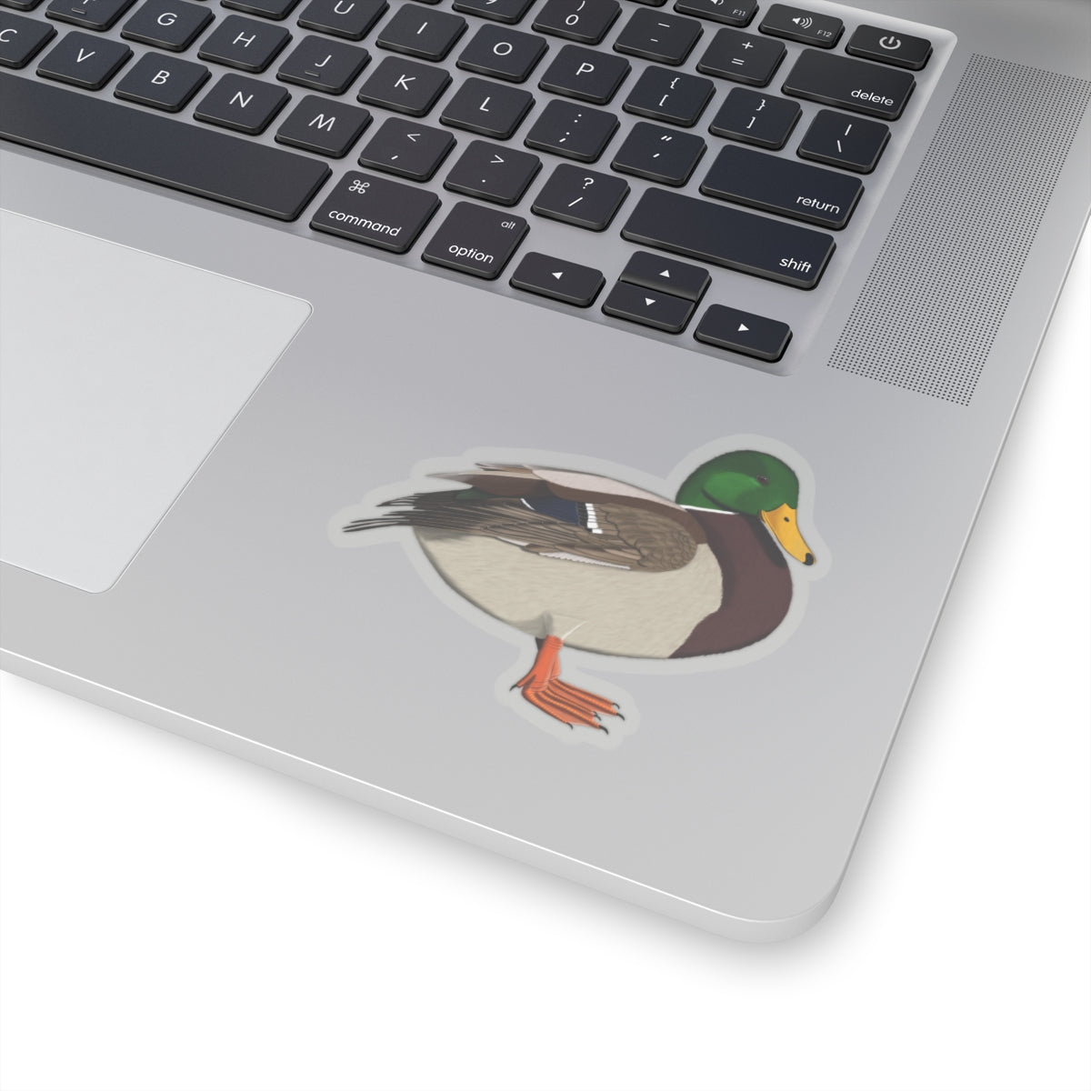 Mallard Bird Kiss-Cut Sticker - jz.birds