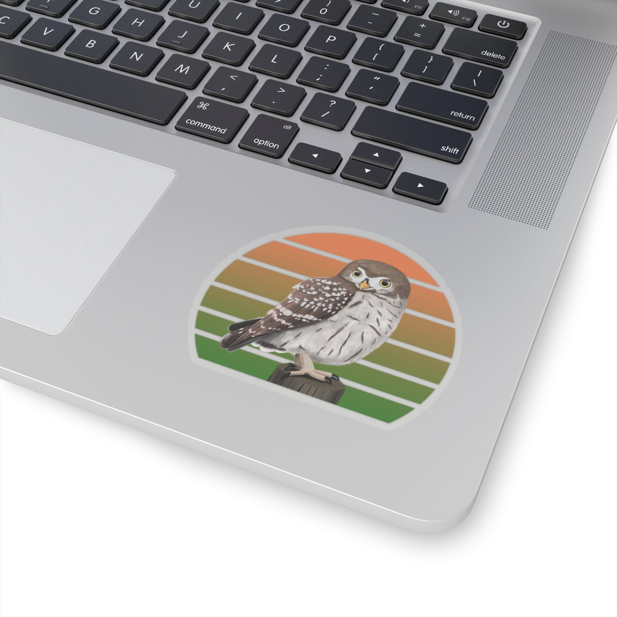 Little Owl Bird Sticker