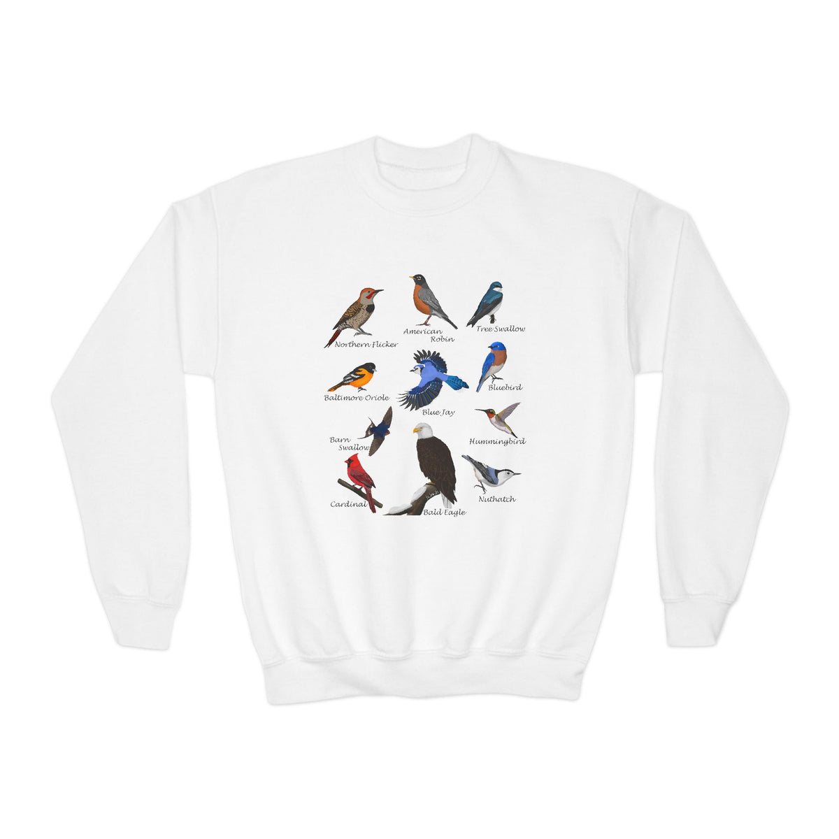 Hummingbird, Bluebird, Blue Jay, Cardinal, Robin and Eagle Youth Sweatshirts – Casual Kids Clothing, Cool Weather Outfit