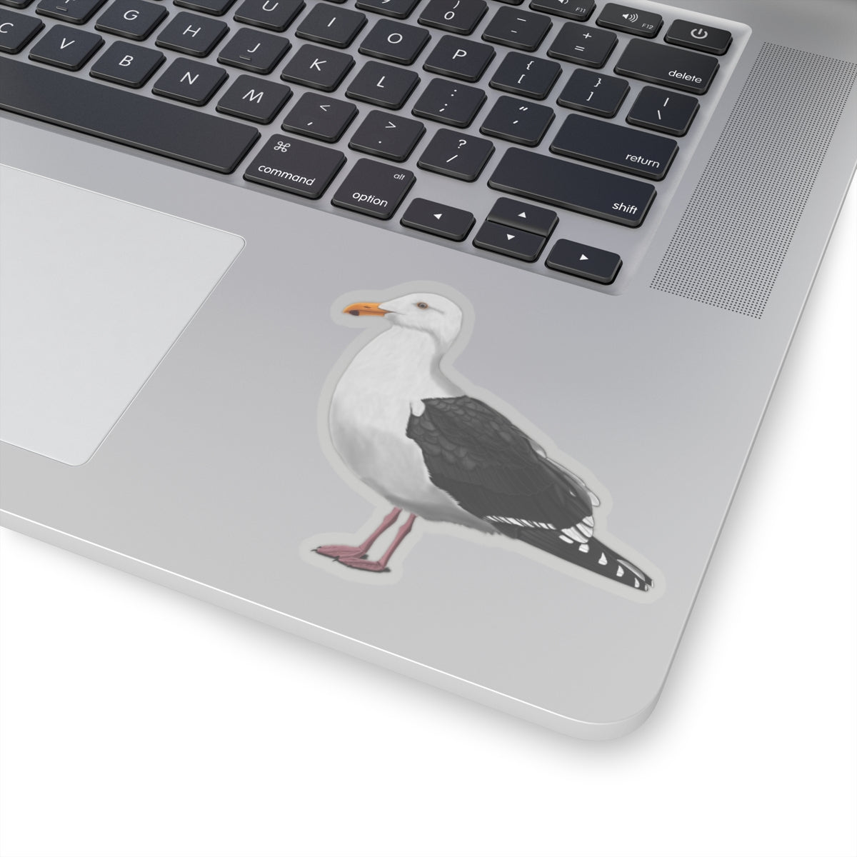 Seagull Bird Kiss-Cut Sticker - jz.birds