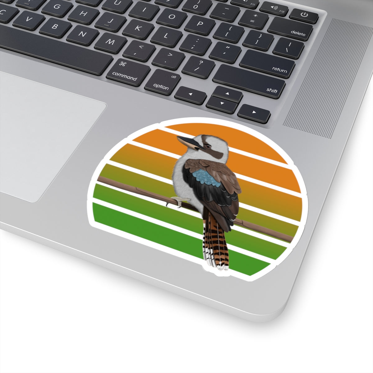 Kookaburra Bird Sticker