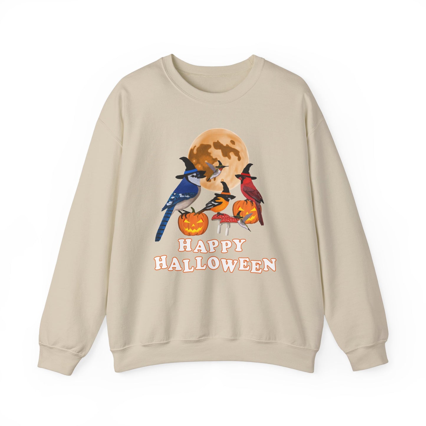 Blue Jay Cardinal Oriole Hummingbird Halloween Birds Witch Birdwatcher Sweatshirt