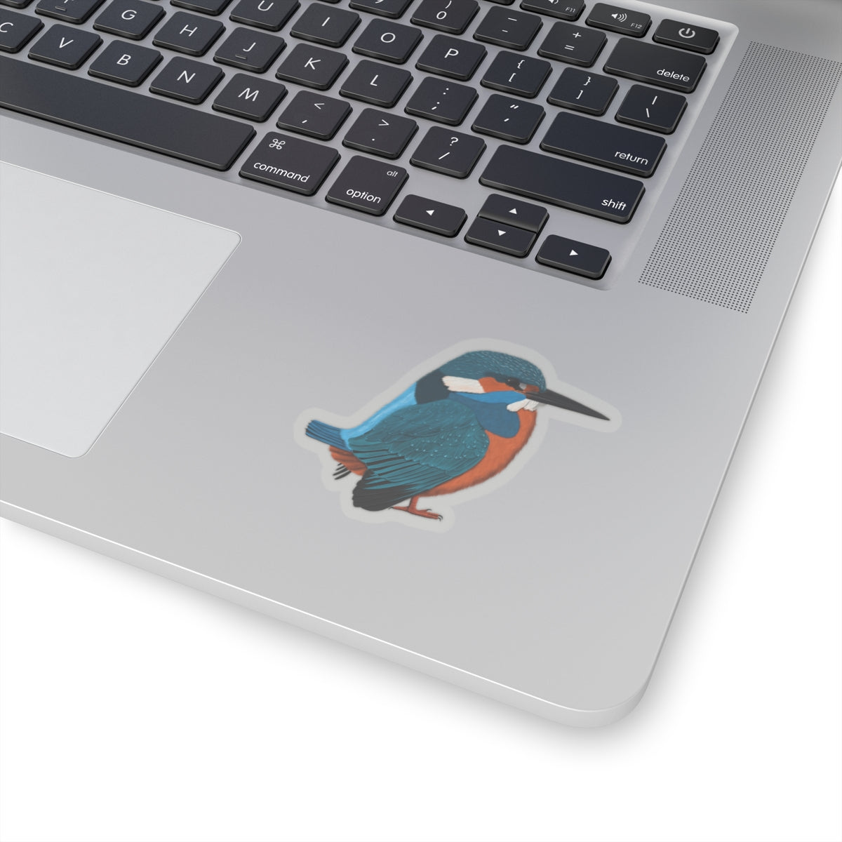 Kingfisher Bird Kiss-Cut Sticker - jz.birds