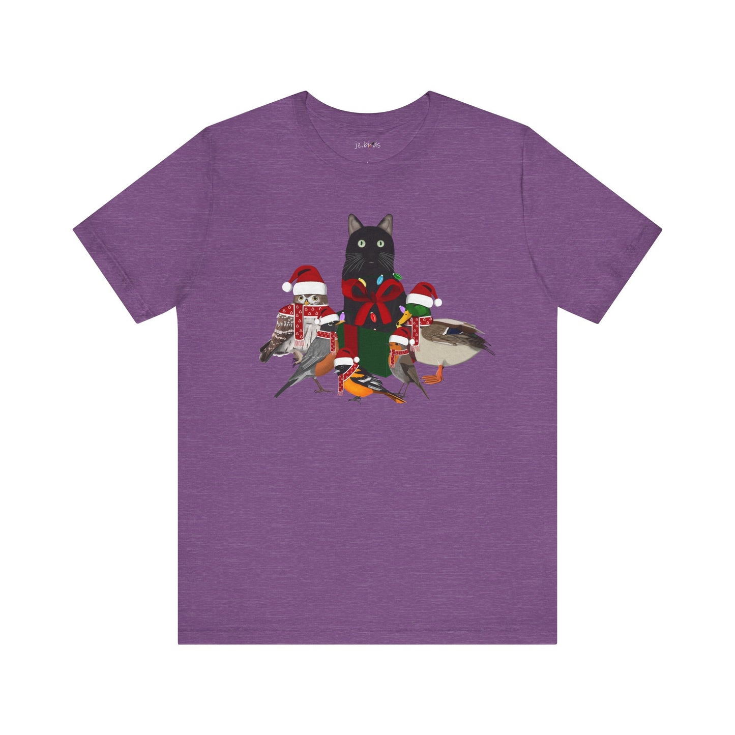 Robin Mallard Oriole Owl with Cat in a Box and Fairy Lights Christmas Bird T-Shirt