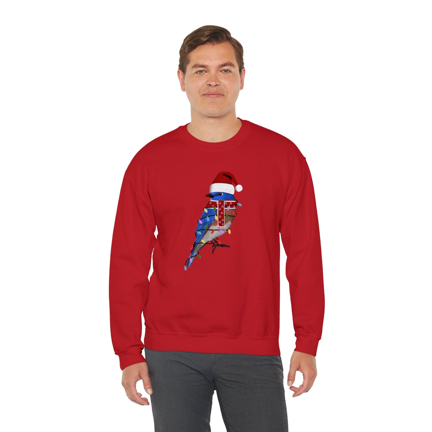 Bluebird with Fairy Lights Santa Claus Christmas Bird Sweatshirt