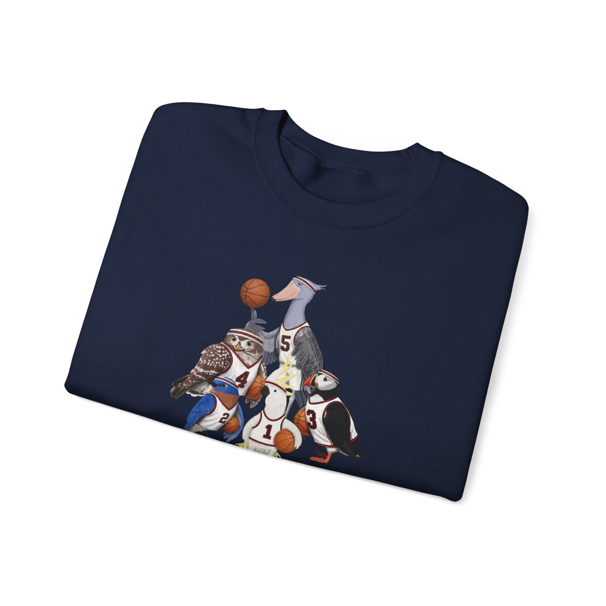 Funny Basketball Bird Sweatshirt | Bird Watcher Crewneck | Unisex Unique Hoops Fan Gift
