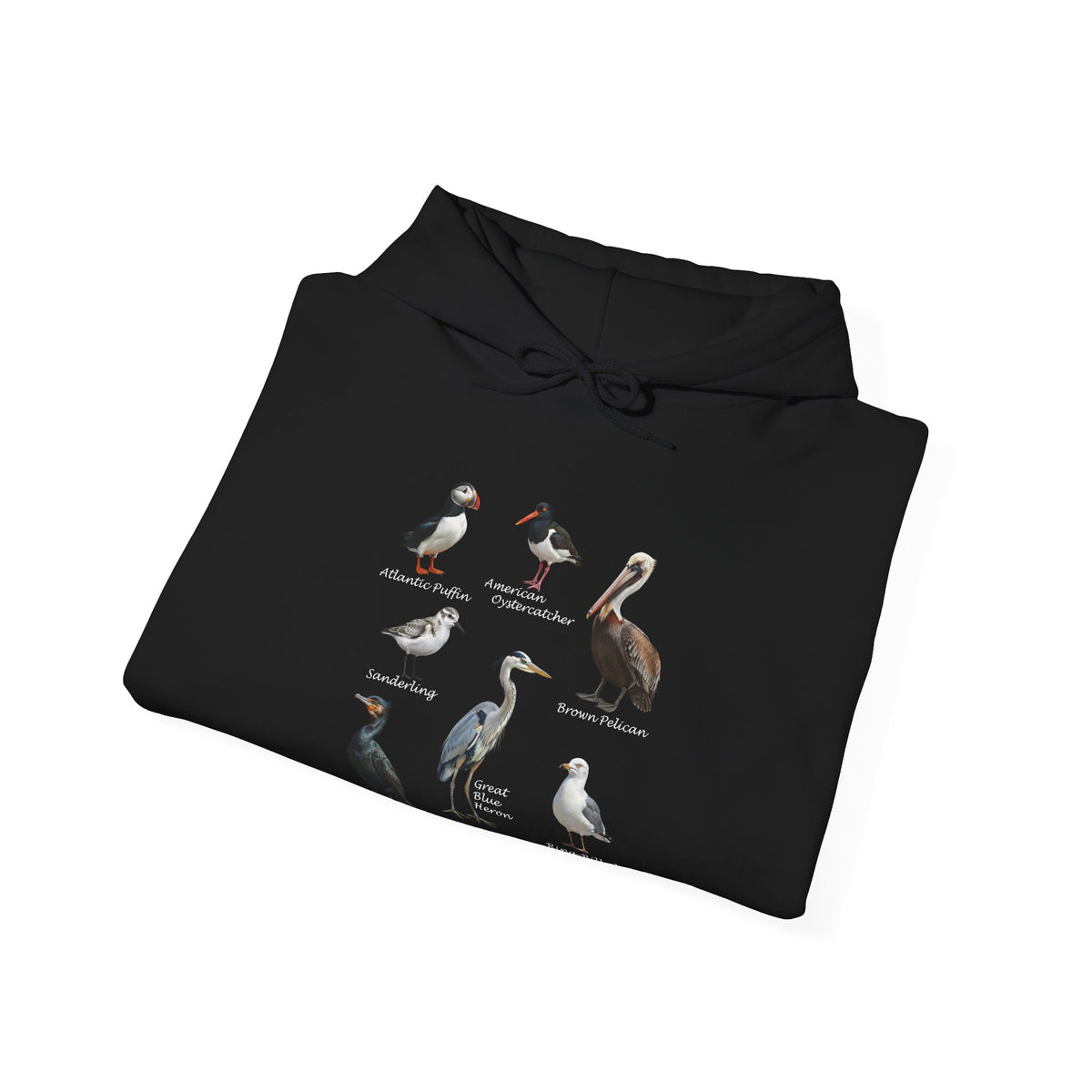 Pelican, Heron and Gull Hoodie in Black