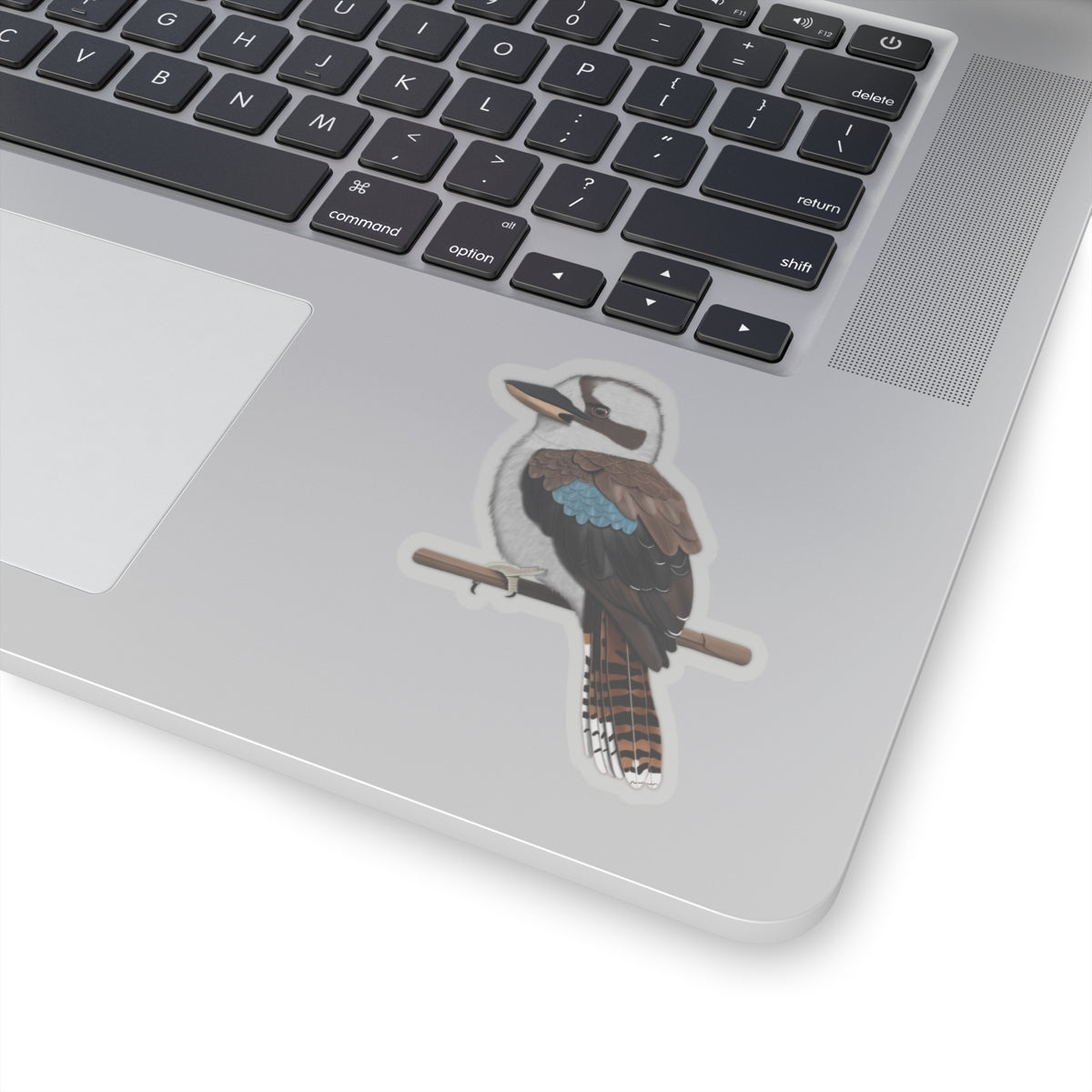 Kookaburra Bird Kiss-Cut Sticker - jz.birds